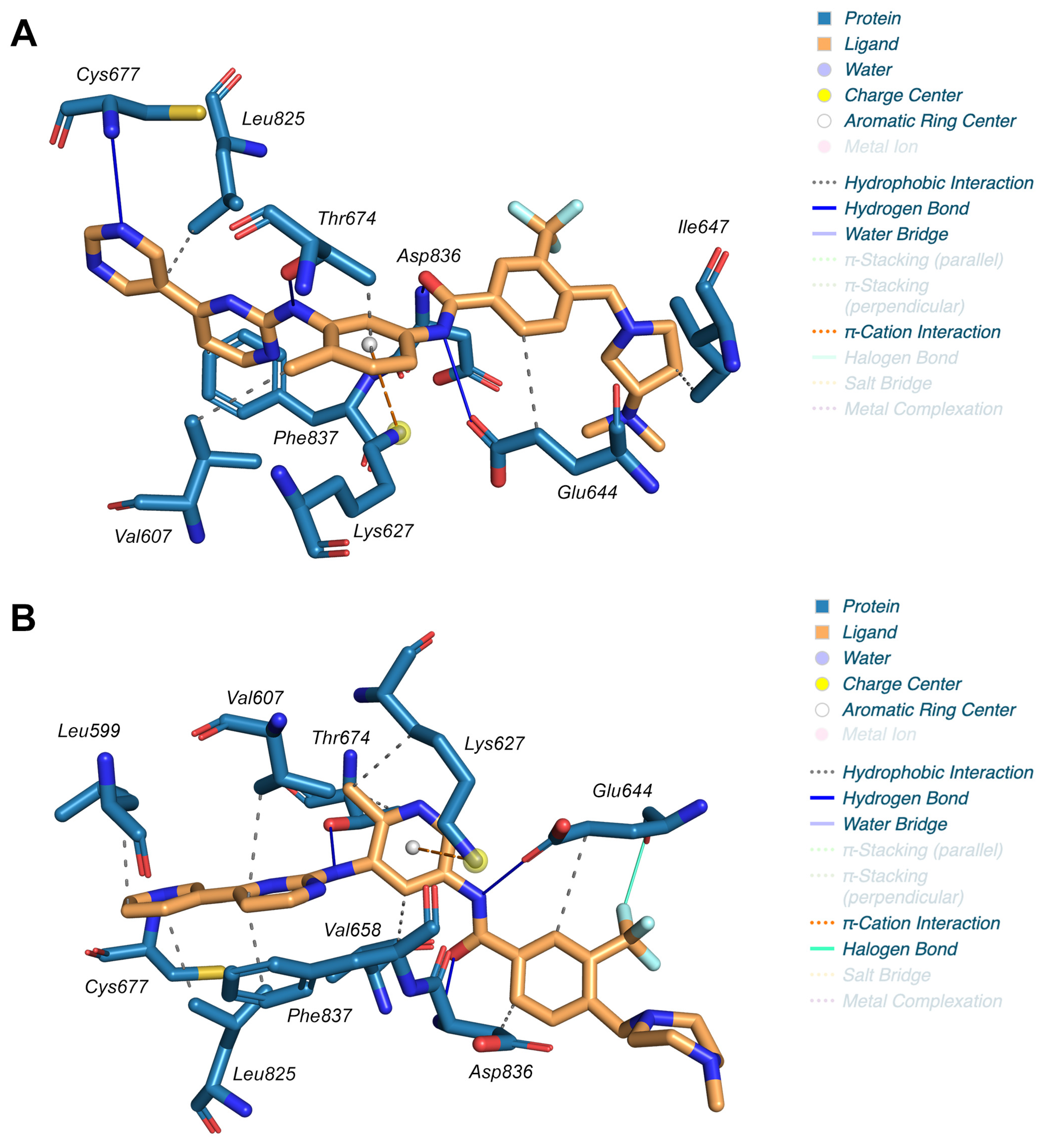 Ijms 24 09623 g002 Ijms 24 09623 g002