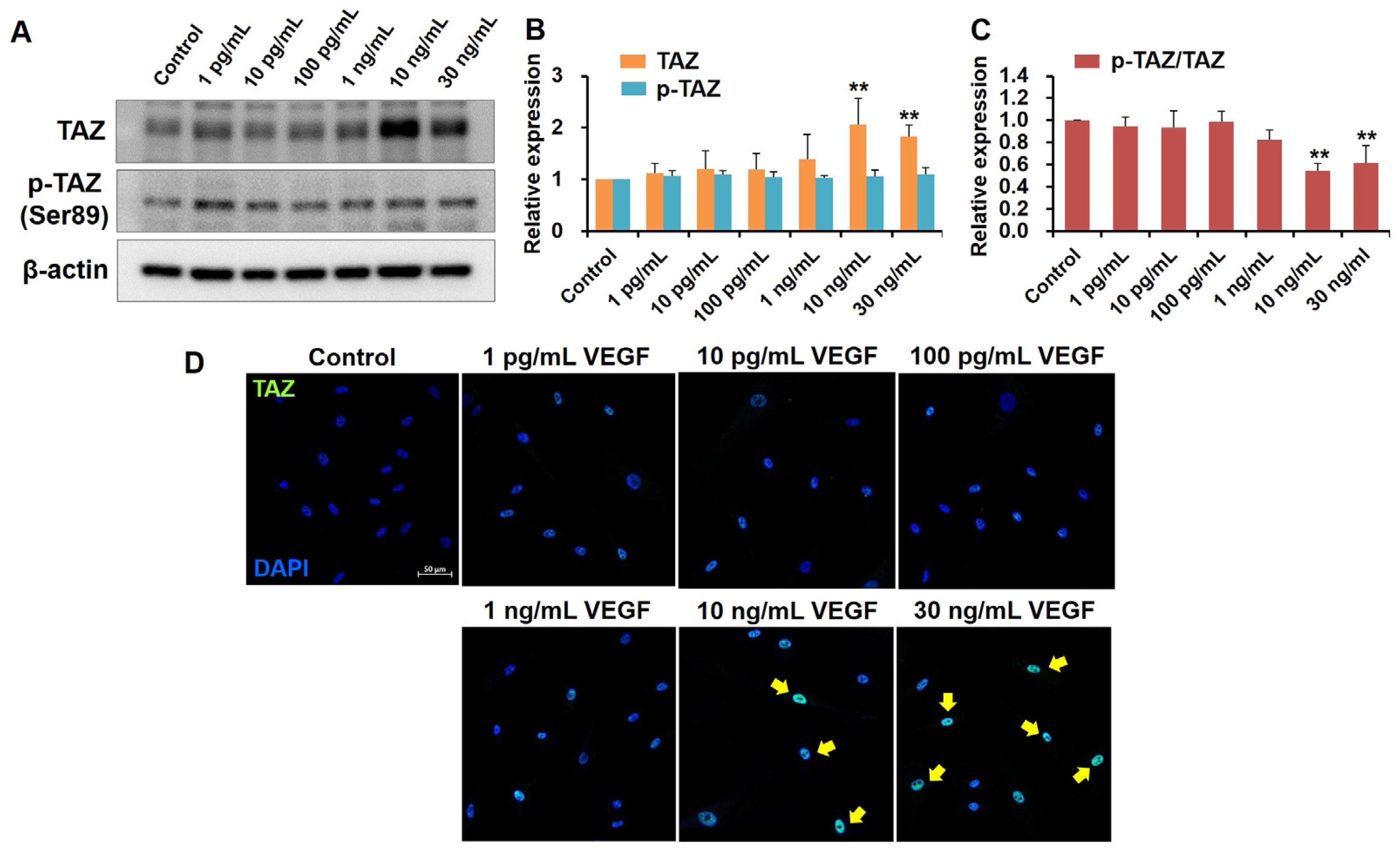 Ijms 24 09625 g002 Ijms 24 09625 g002