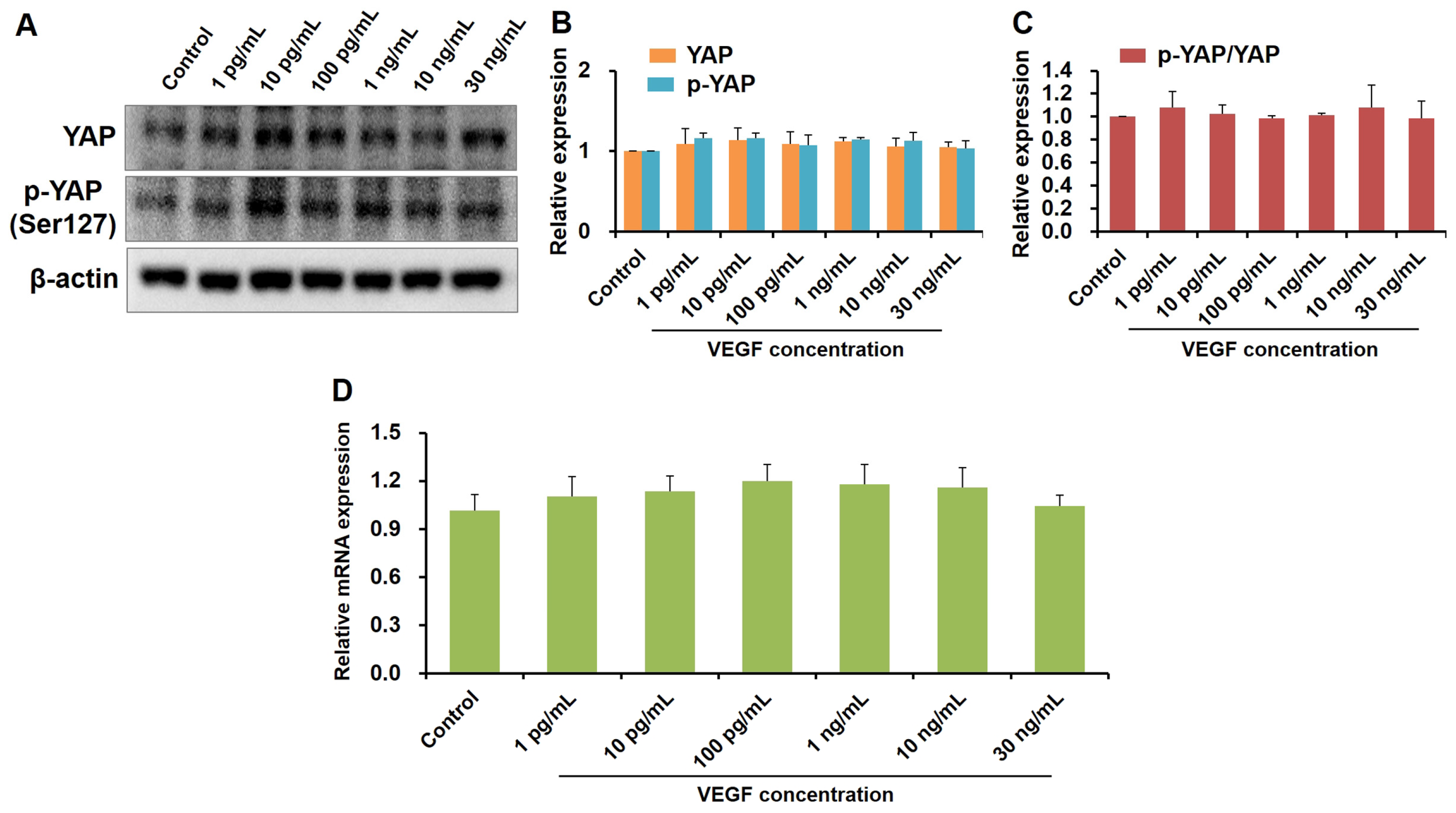 Ijms 24 09625 g003 Ijms 24 09625 g003