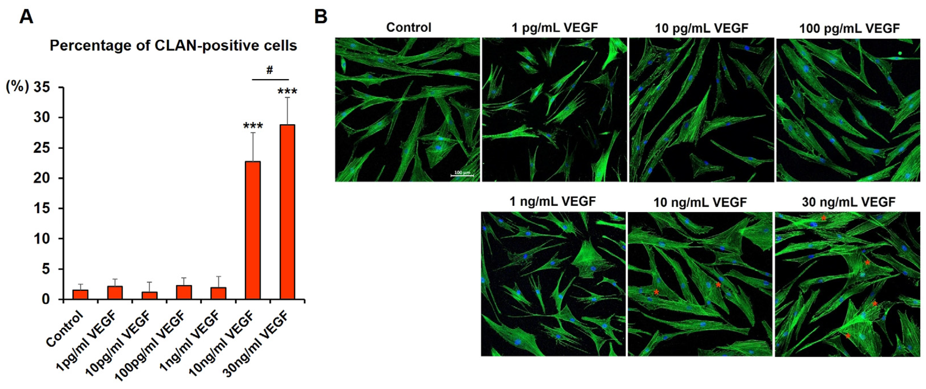 Ijms 24 09625 g005 Ijms 24 09625 g005