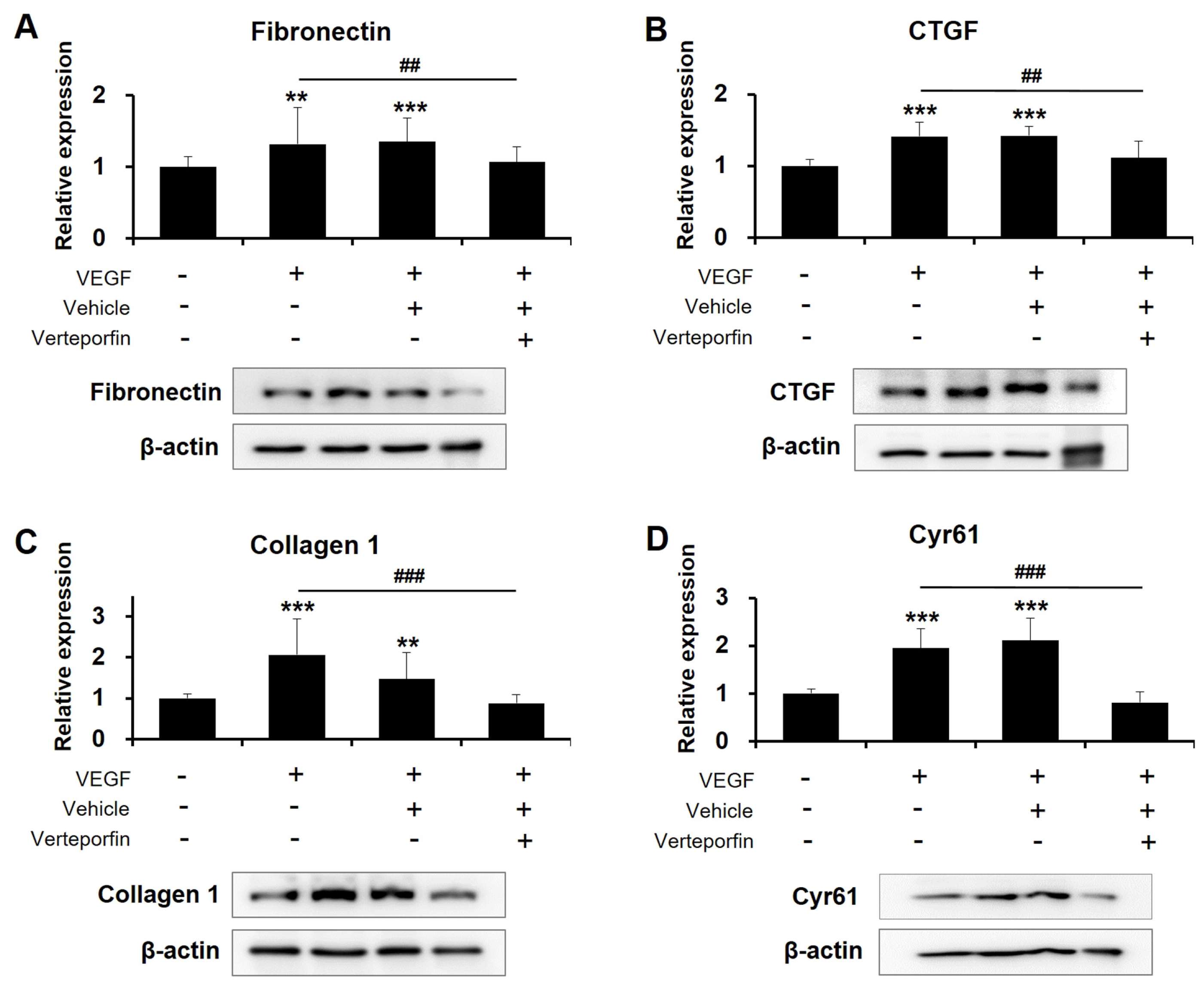 Ijms 24 09625 g006 Ijms 24 09625 g006