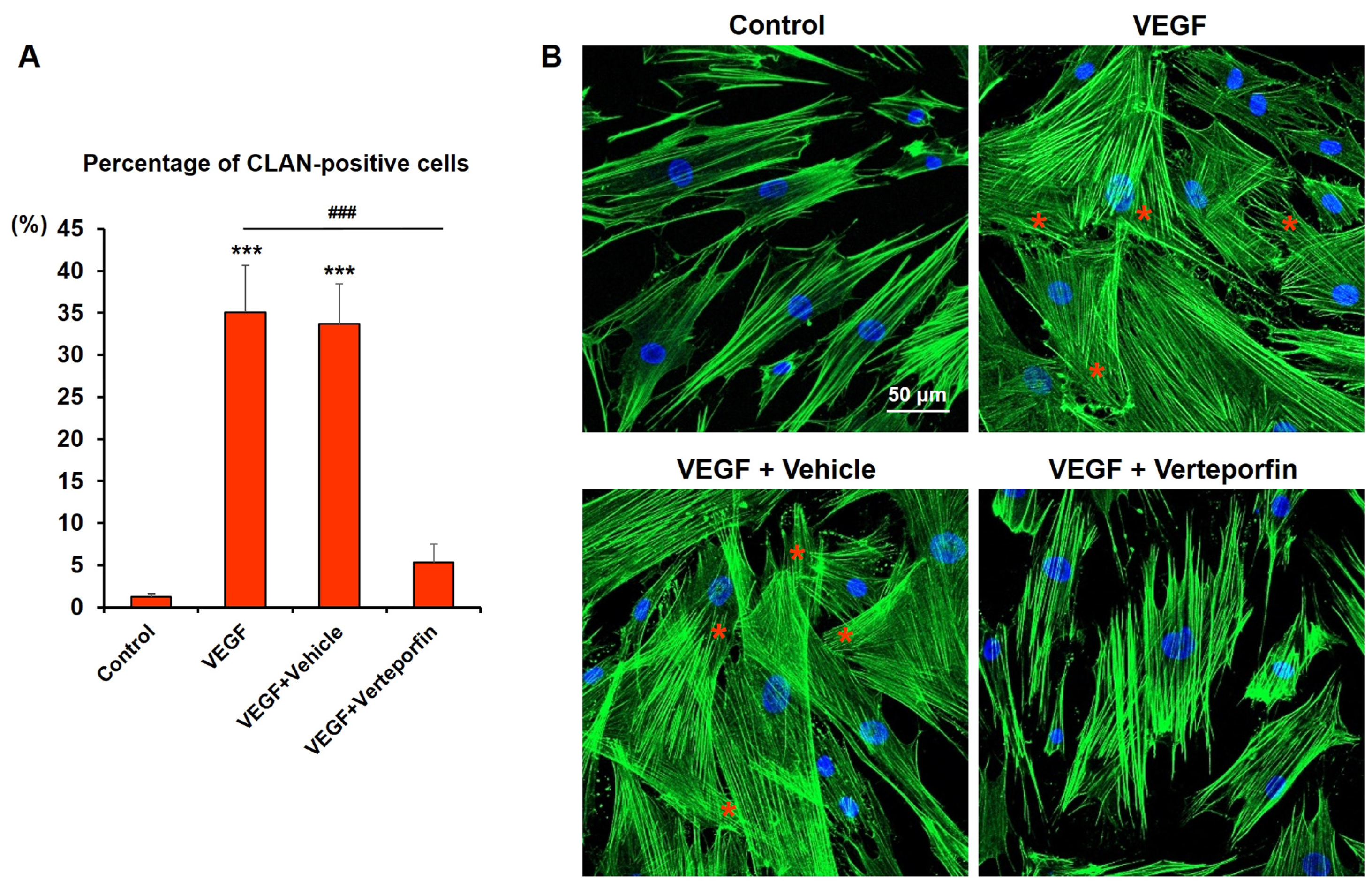 Ijms 24 09625 g007 Ijms 24 09625 g007