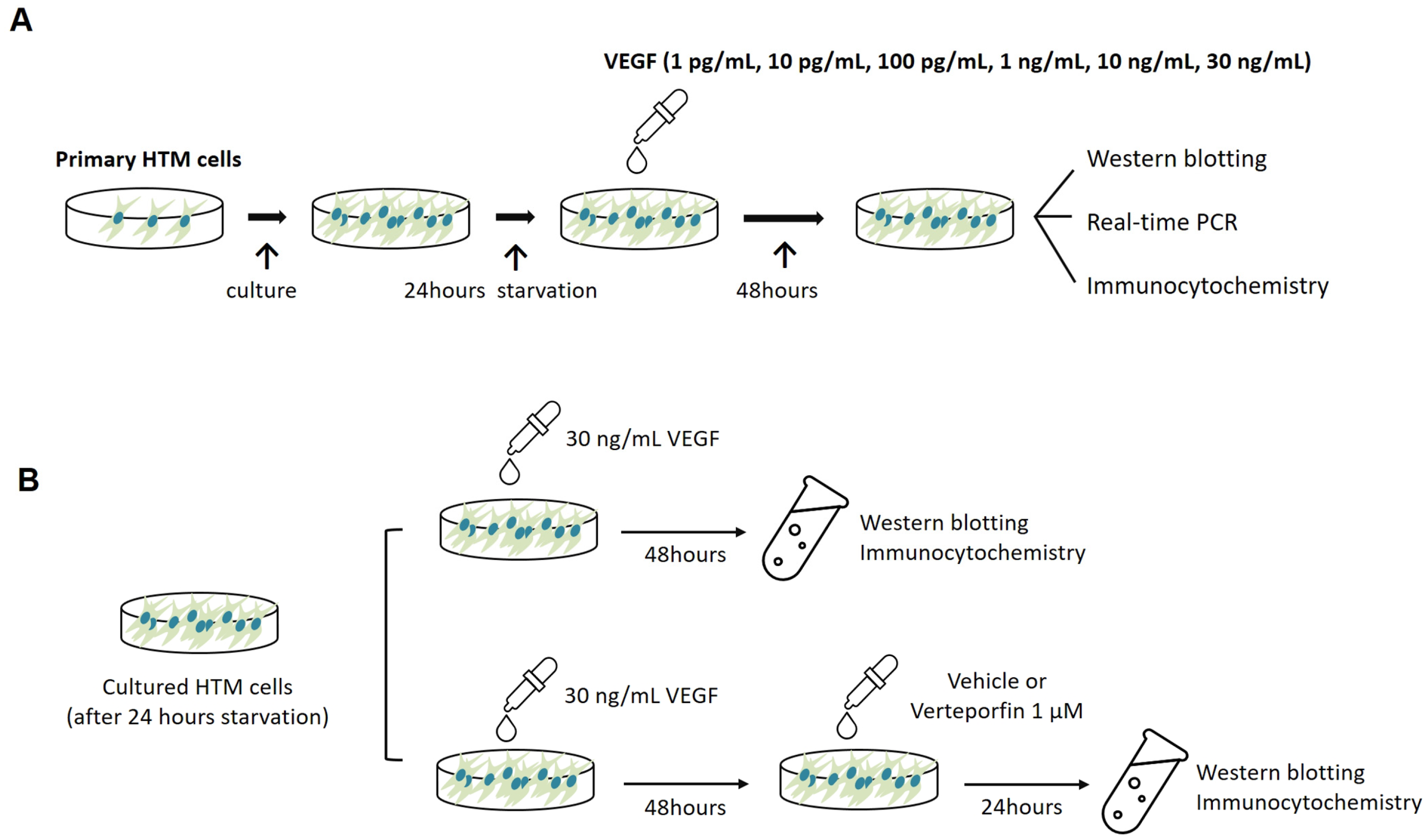 Ijms 24 09625 g008 Ijms 24 09625 g008