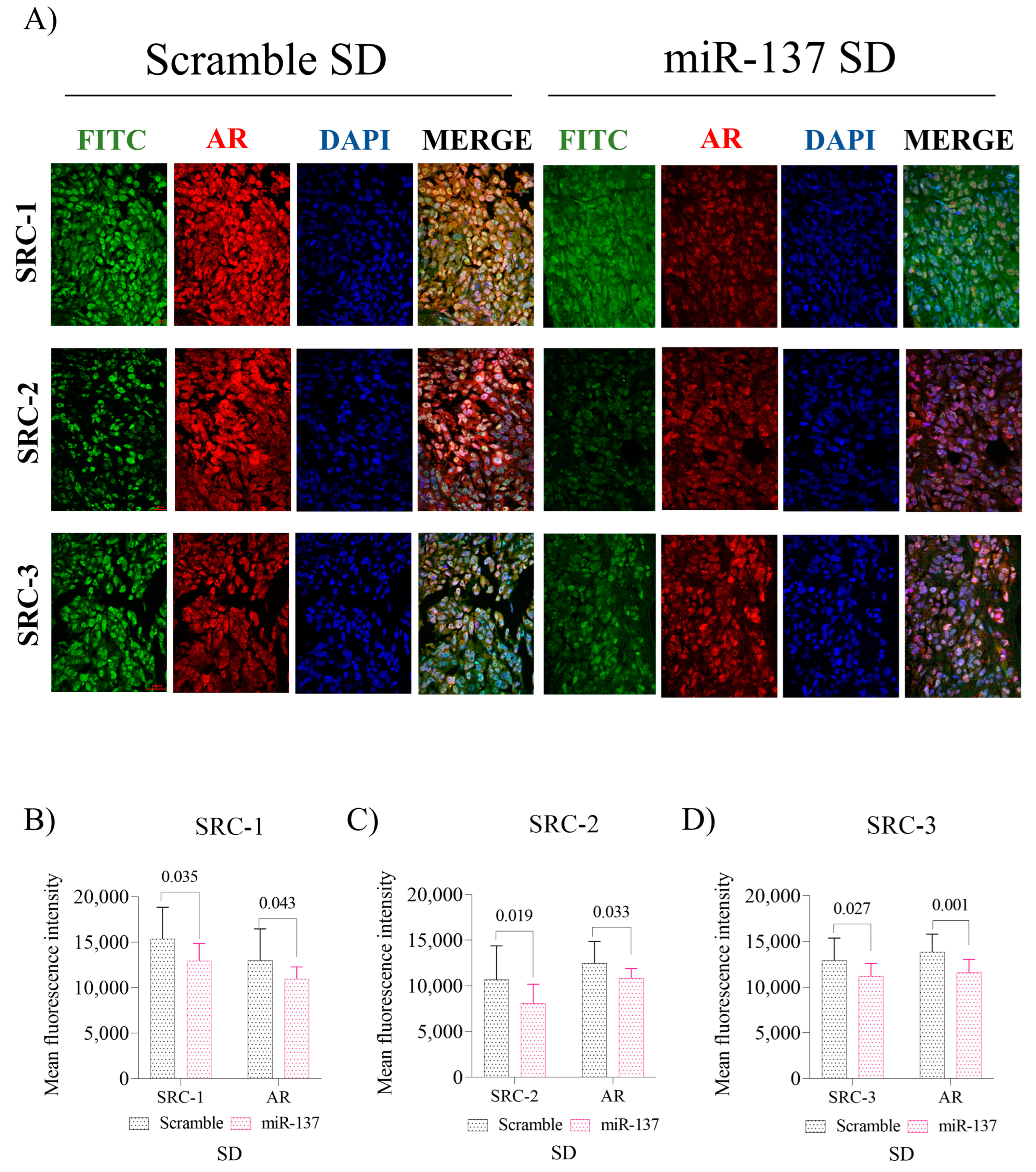 Ijms 24 09633 g005 Ijms 24 09633 g005