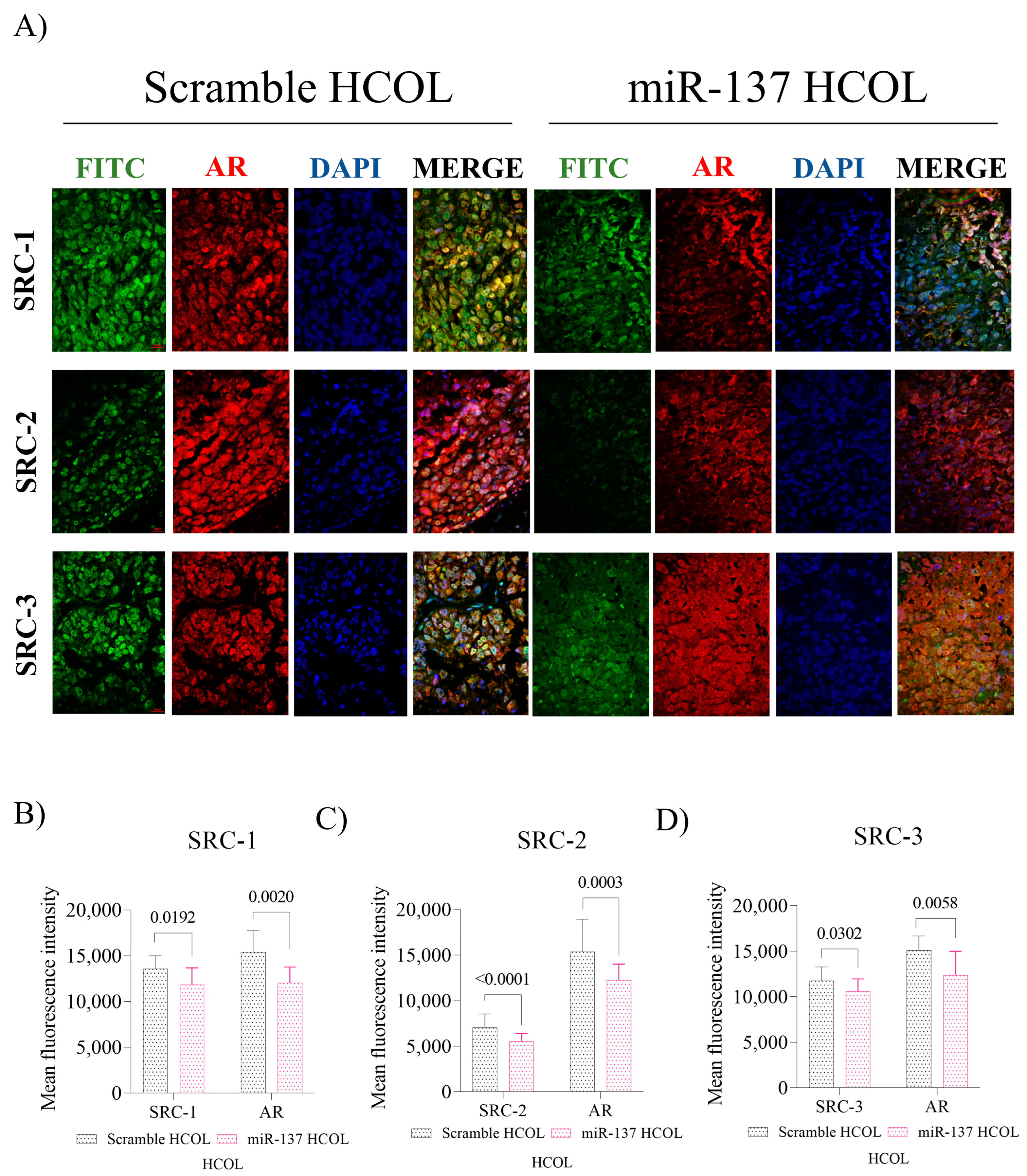 Ijms 24 09633 g006 Ijms 24 09633 g006