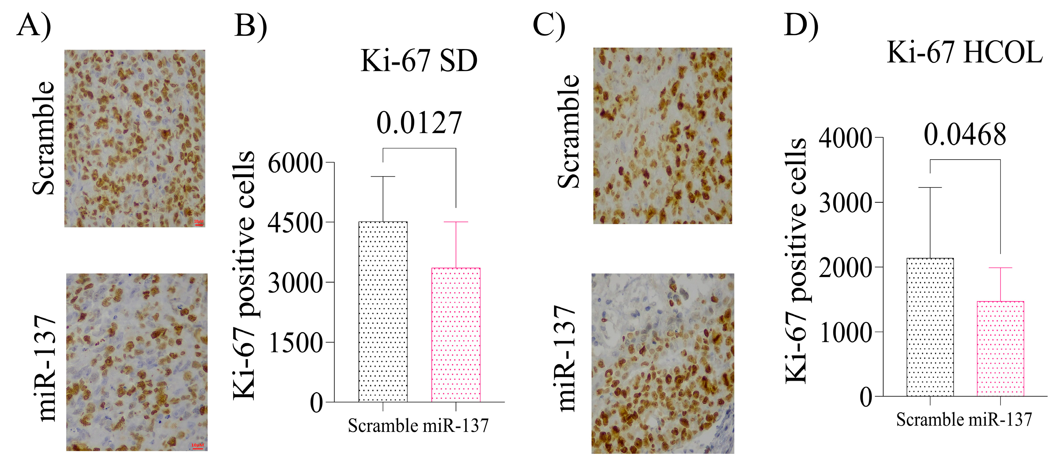 Ijms 24 09633 g007 Ijms 24 09633 g007