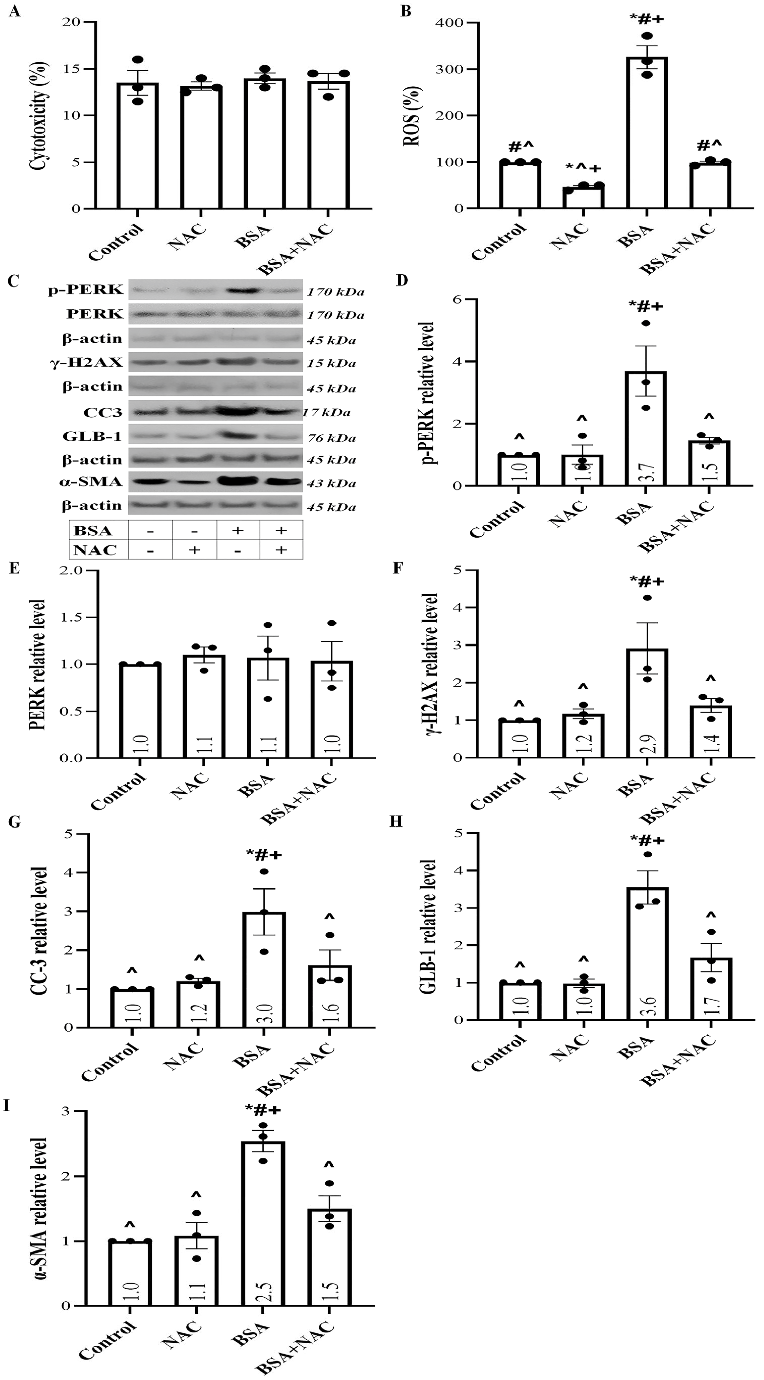 Ijms 24 09640 g005 Ijms 24 09640 g005