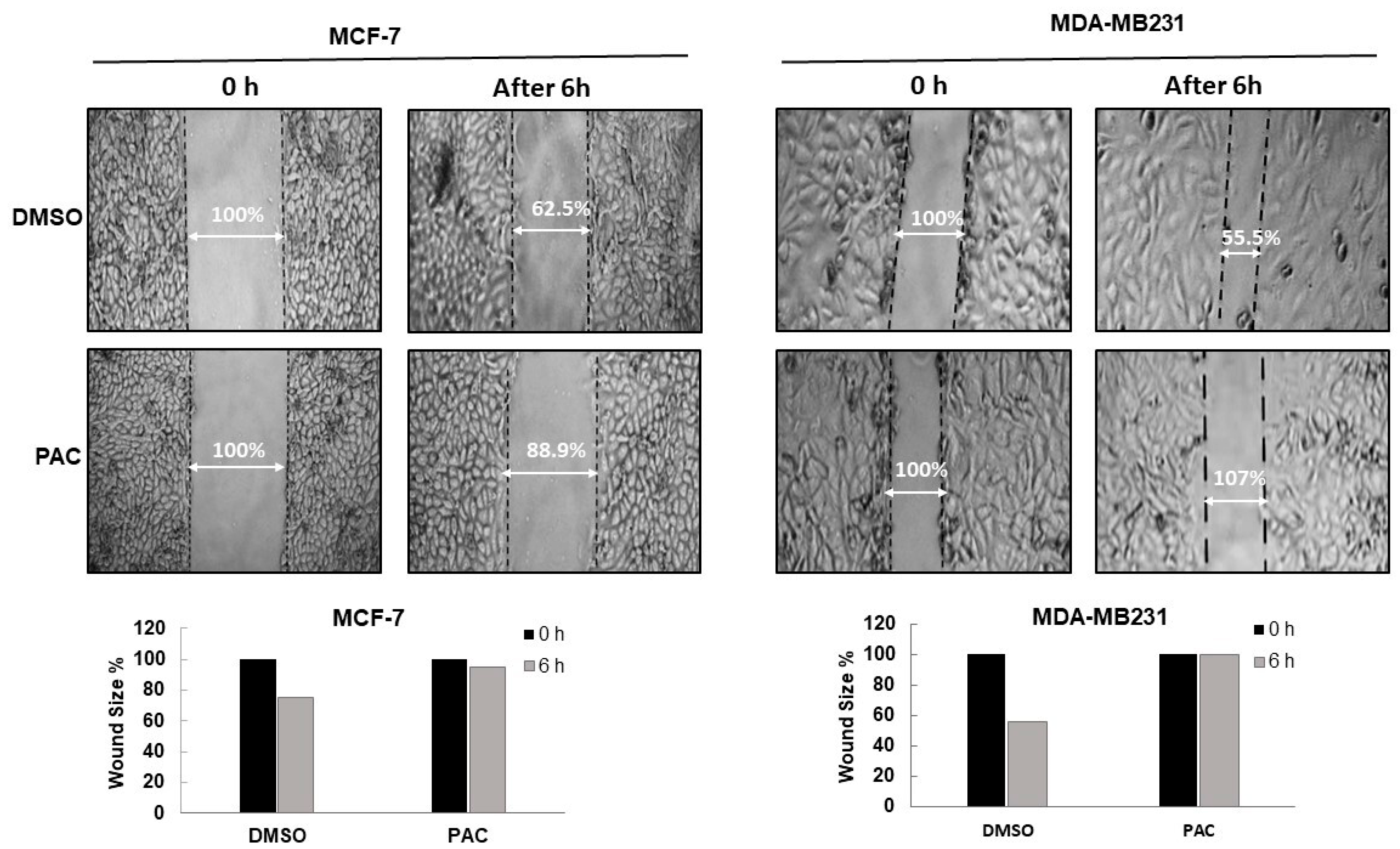 Ijms 24 09649 g003 Ijms 24 09649 g003