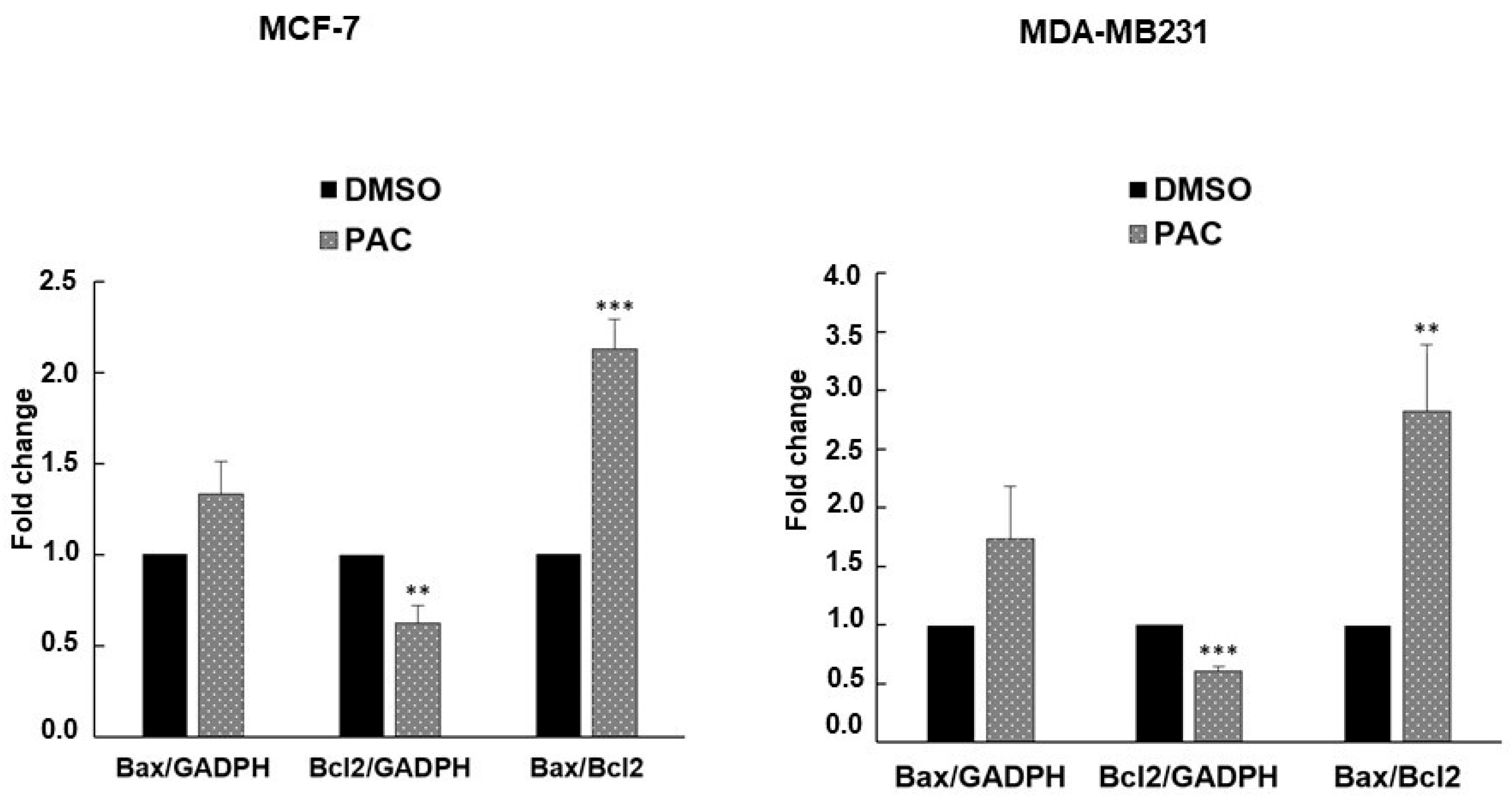 Ijms 24 09649 g005 Ijms 24 09649 g005