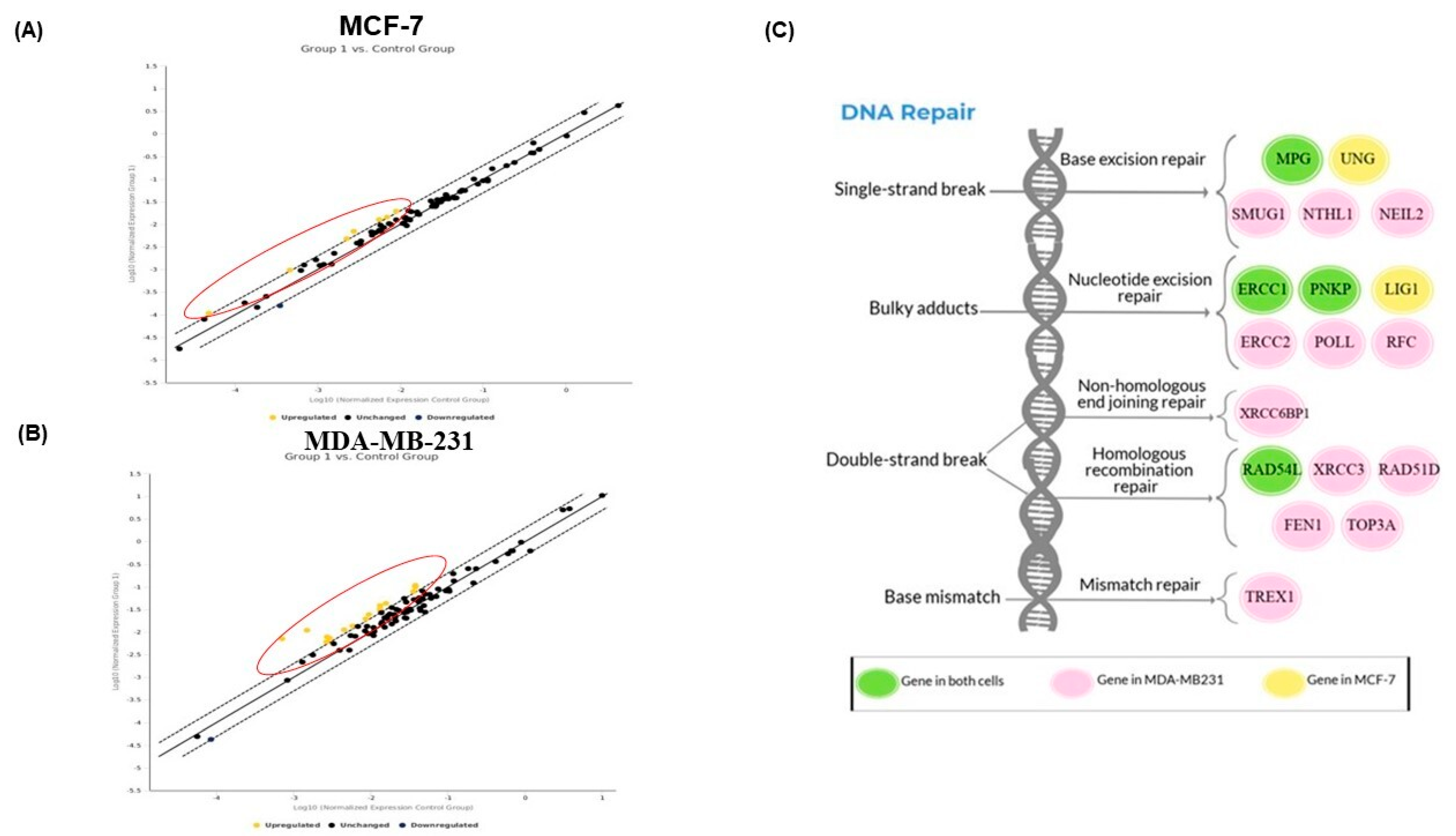 Ijms 24 09649 g006 Ijms 24 09649 g006