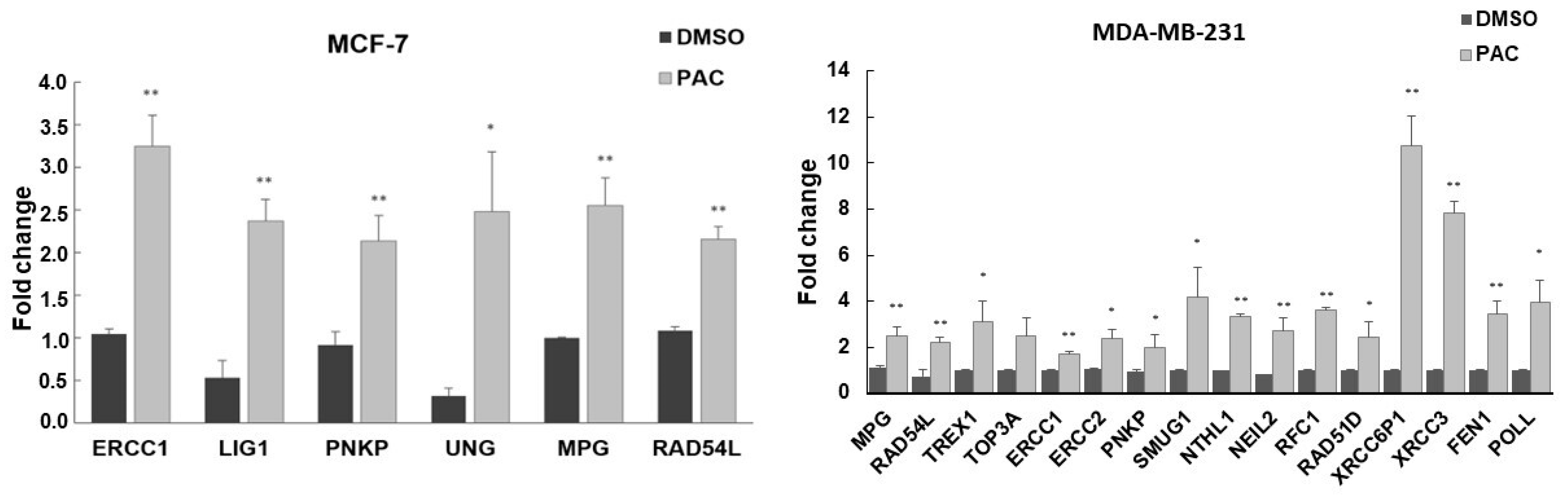 Ijms 24 09649 g007 Ijms 24 09649 g007