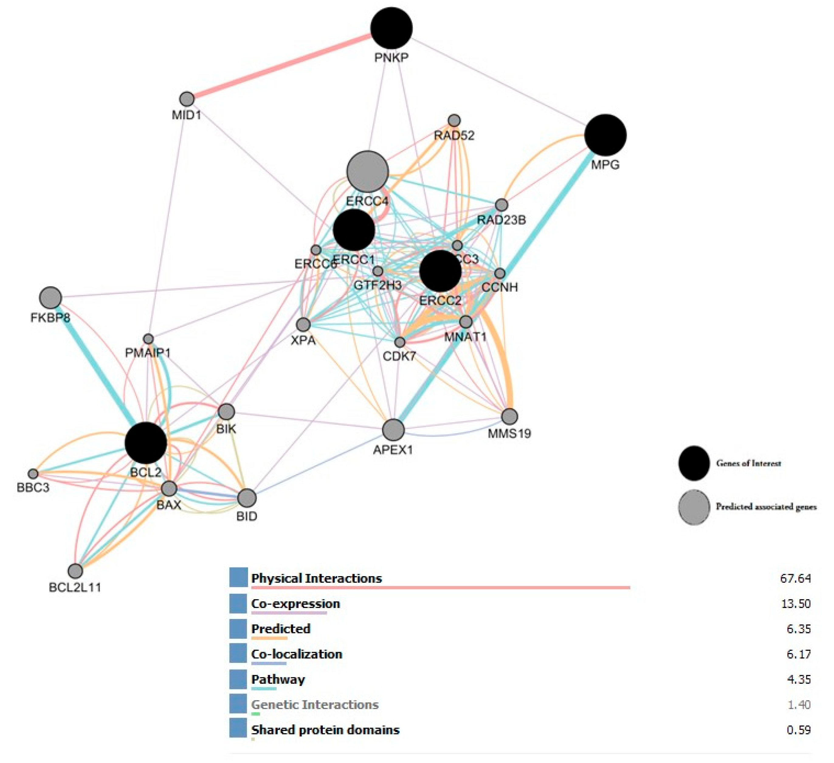 Ijms 24 09649 g008 Ijms 24 09649 g008