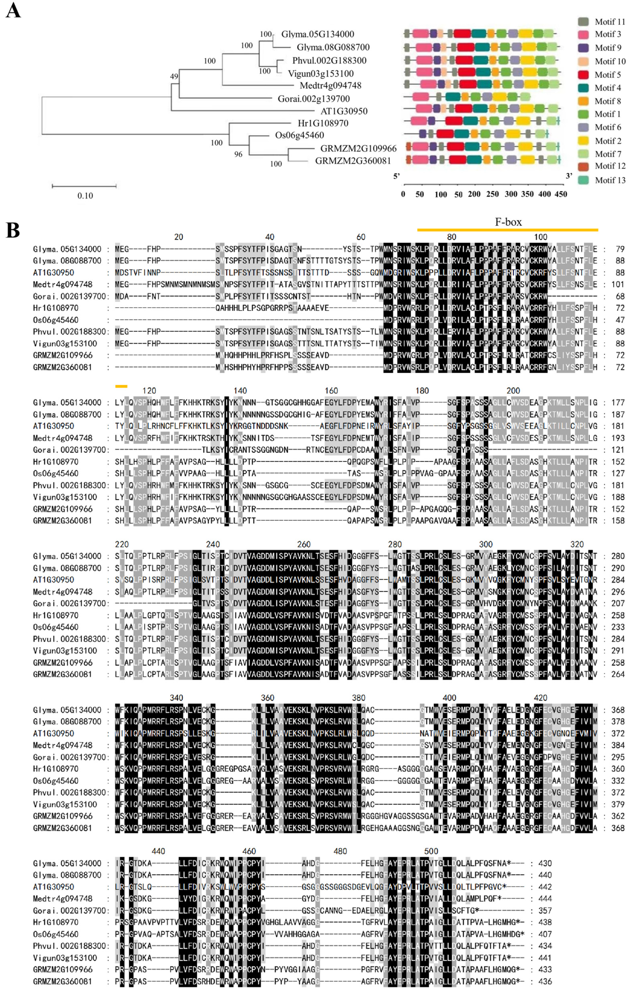 Ijms 24 09662 g001 Ijms 24 09662 g001