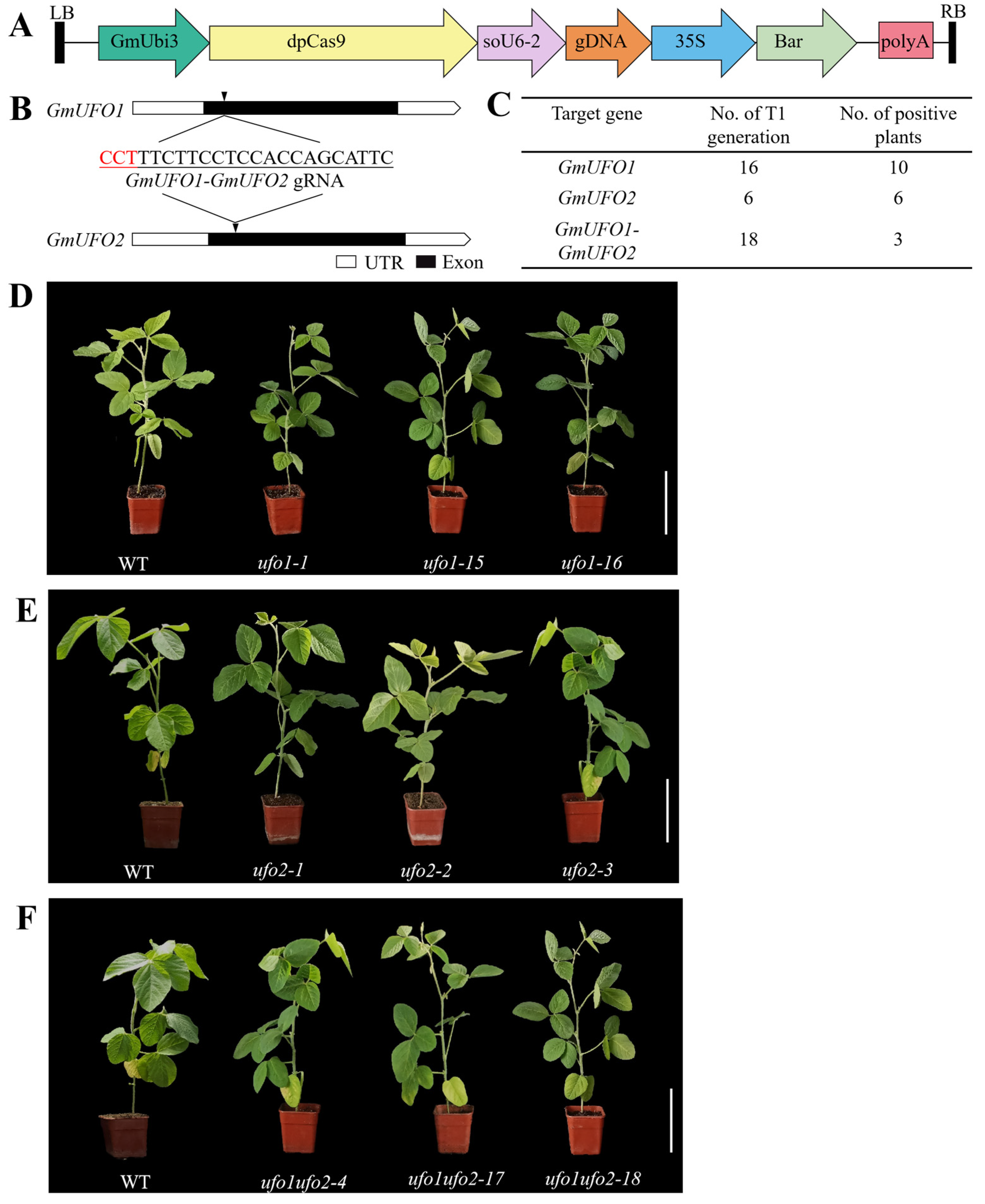 Ijms 24 09662 g003 Ijms 24 09662 g003