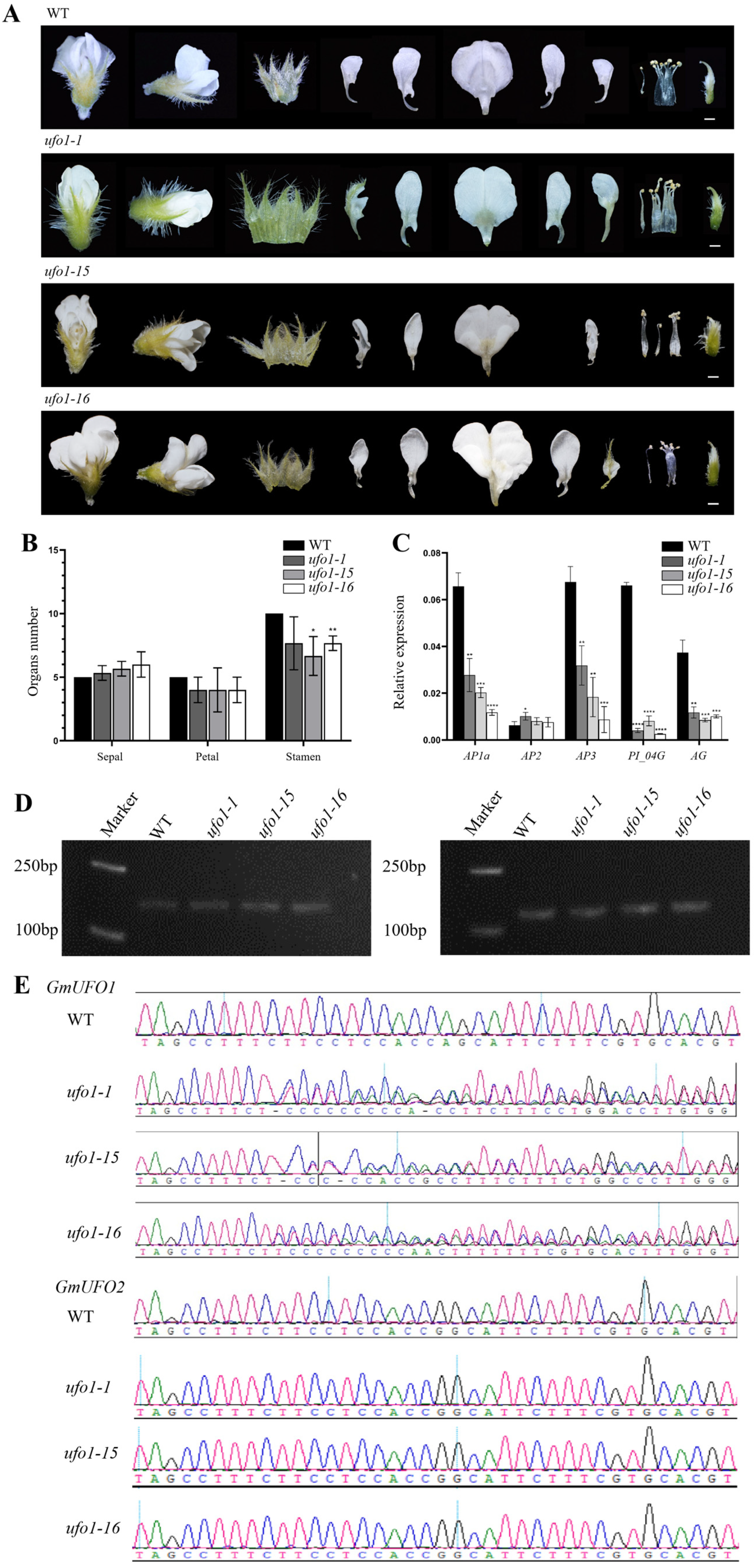 Ijms 24 09662 g004 Ijms 24 09662 g004
