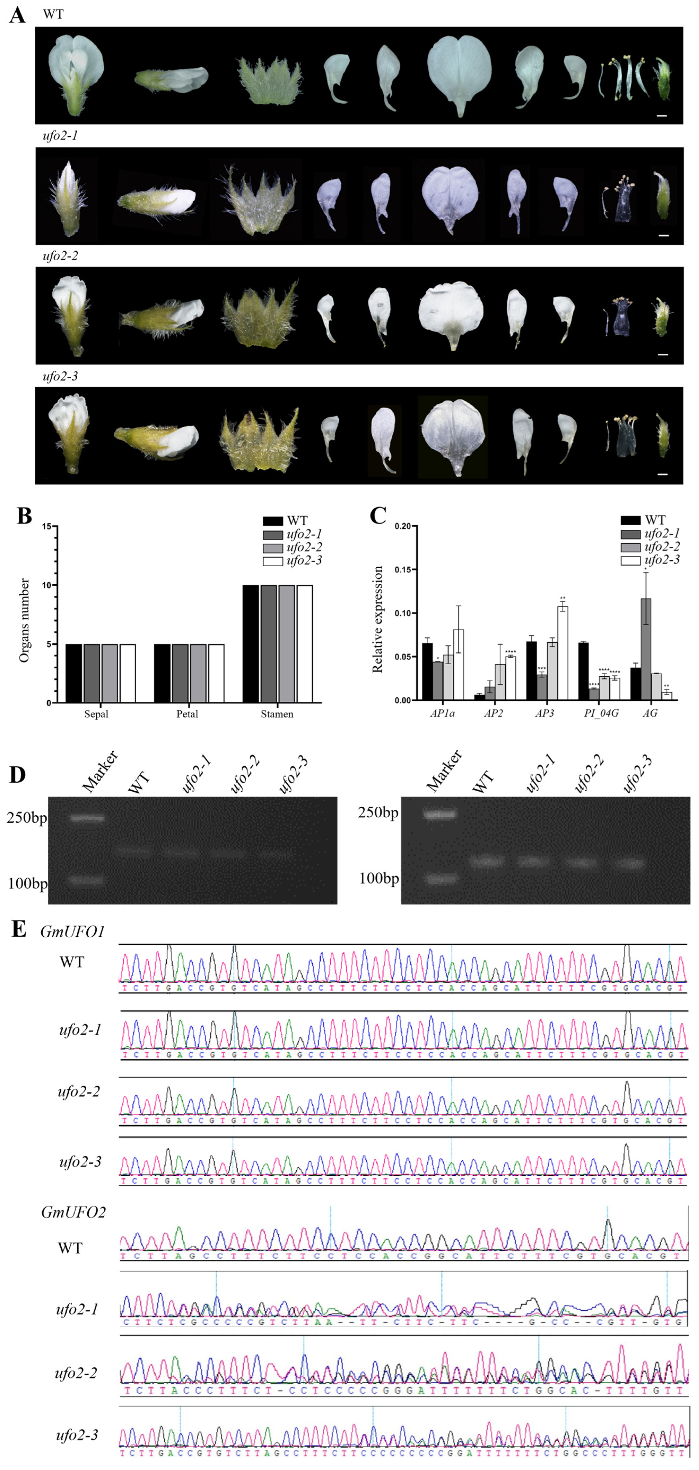 Ijms 24 09662 g005 Ijms 24 09662 g005