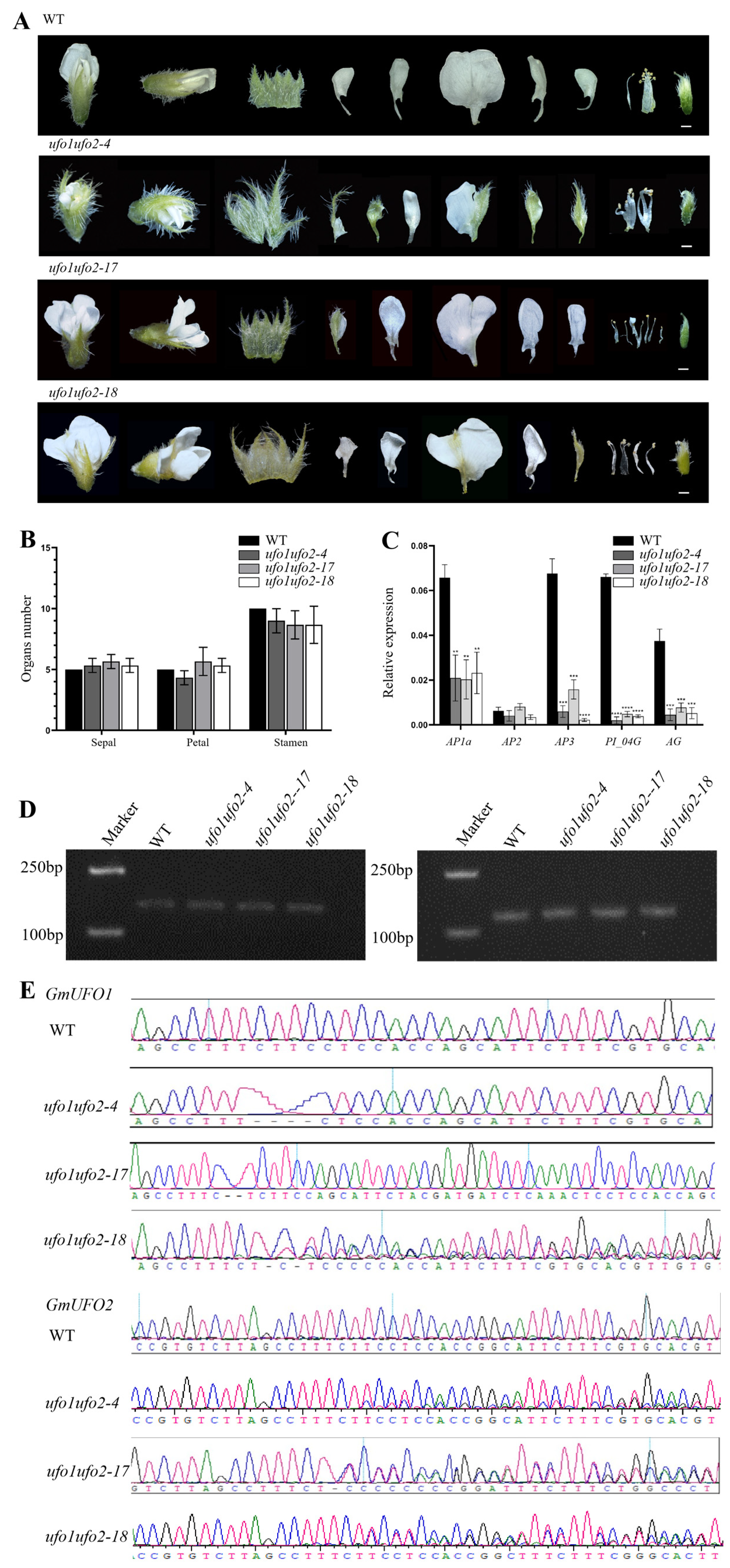 Ijms 24 09662 g006 Ijms 24 09662 g006