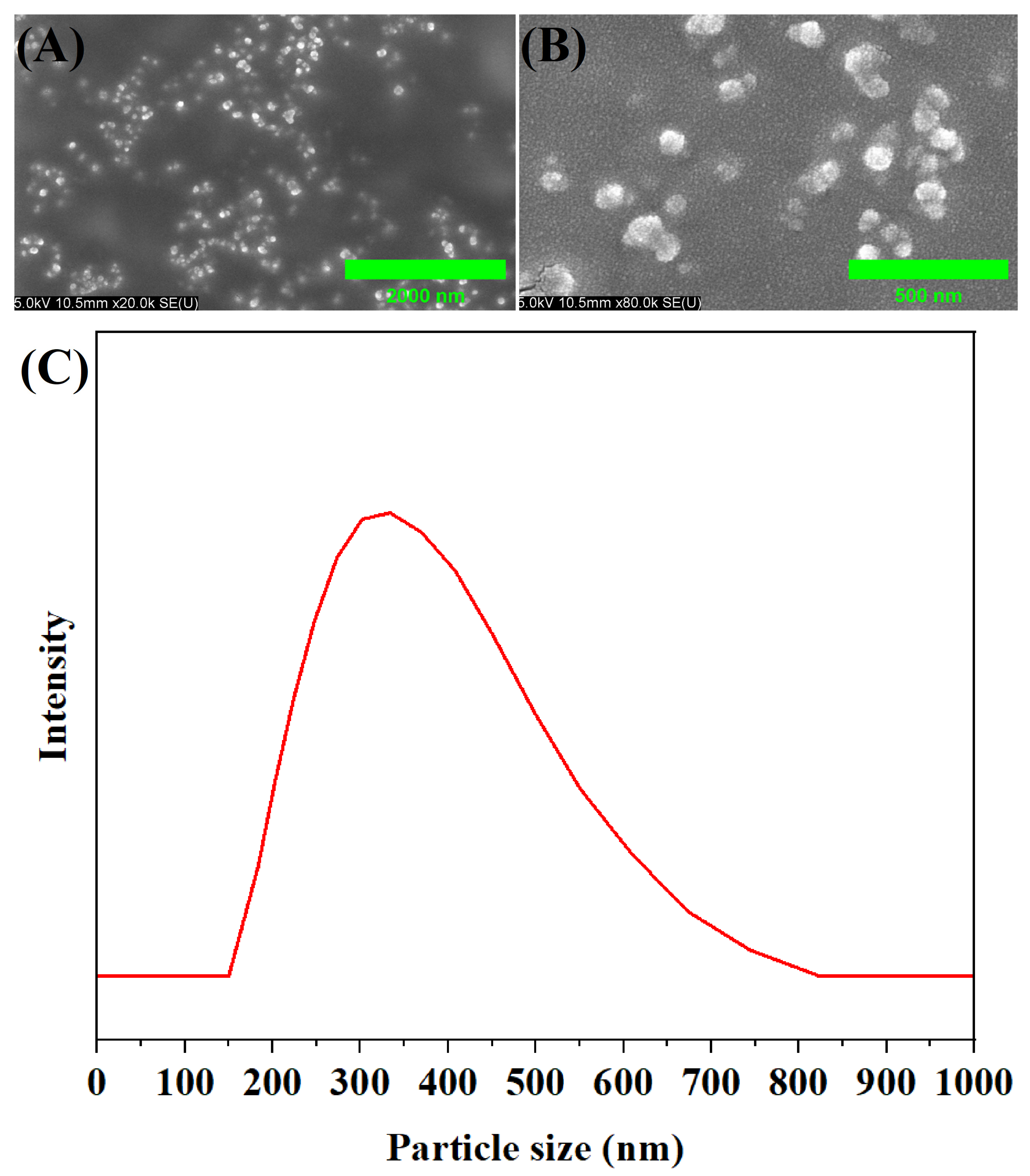 Ijms 24 09669 g002 Ijms 24 09669 g002