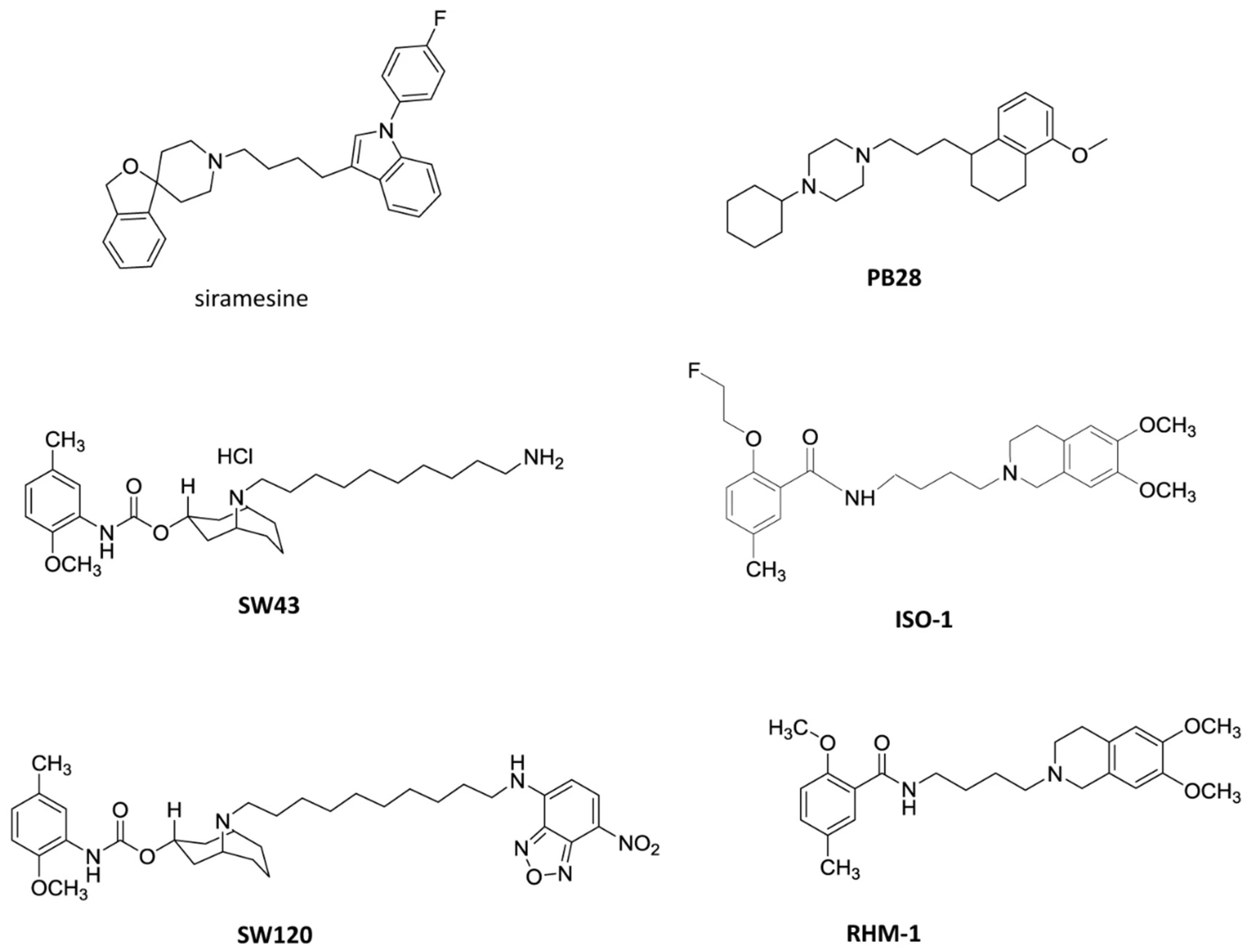 Ijms 24 09684 g001 Ijms 24 09684 g001