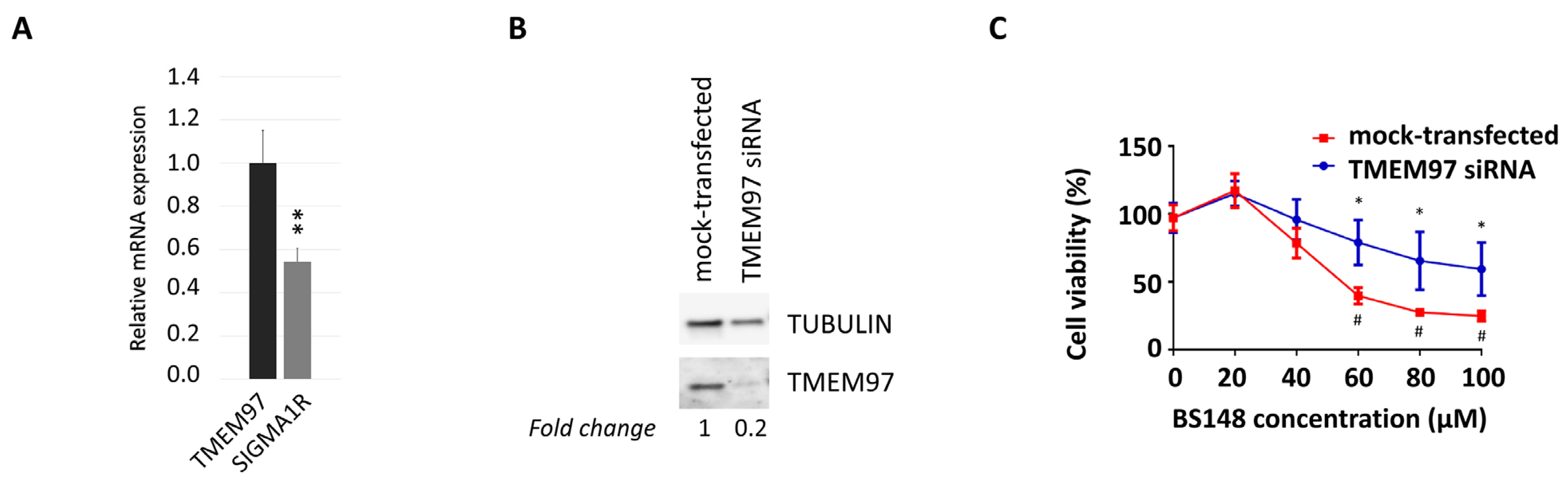 Ijms 24 09684 g004 Ijms 24 09684 g004
