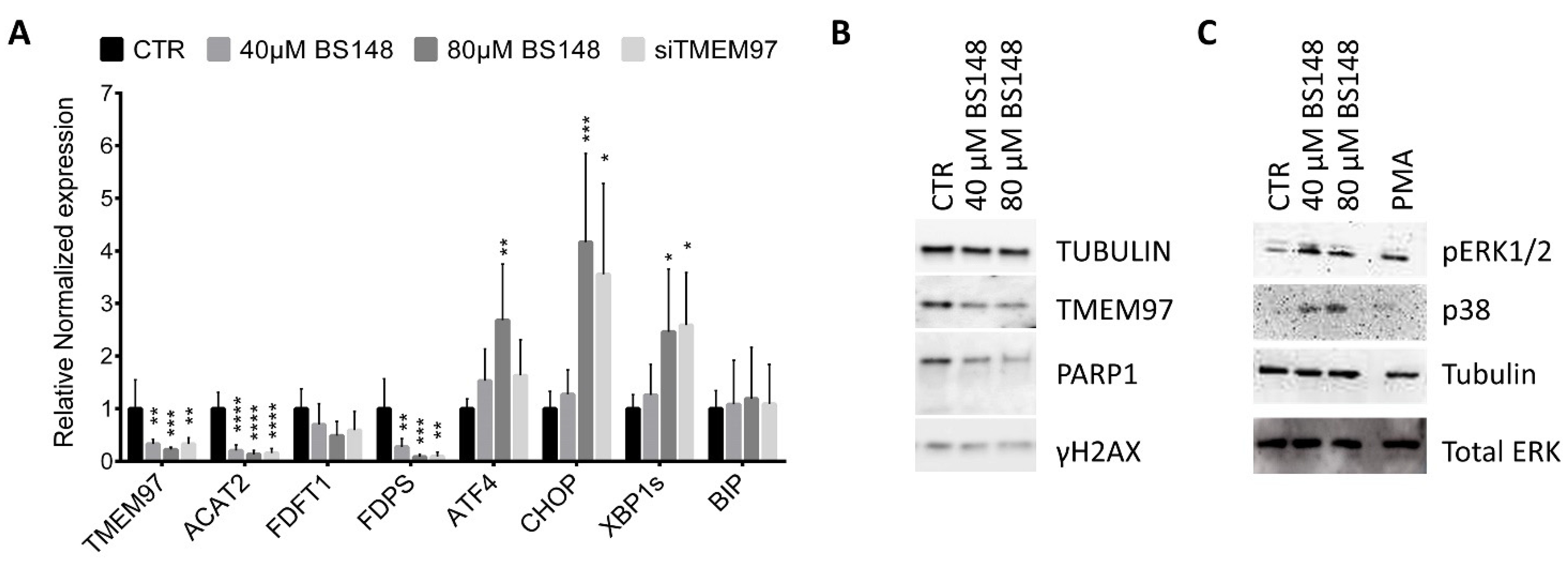 Ijms 24 09684 g005 Ijms 24 09684 g005