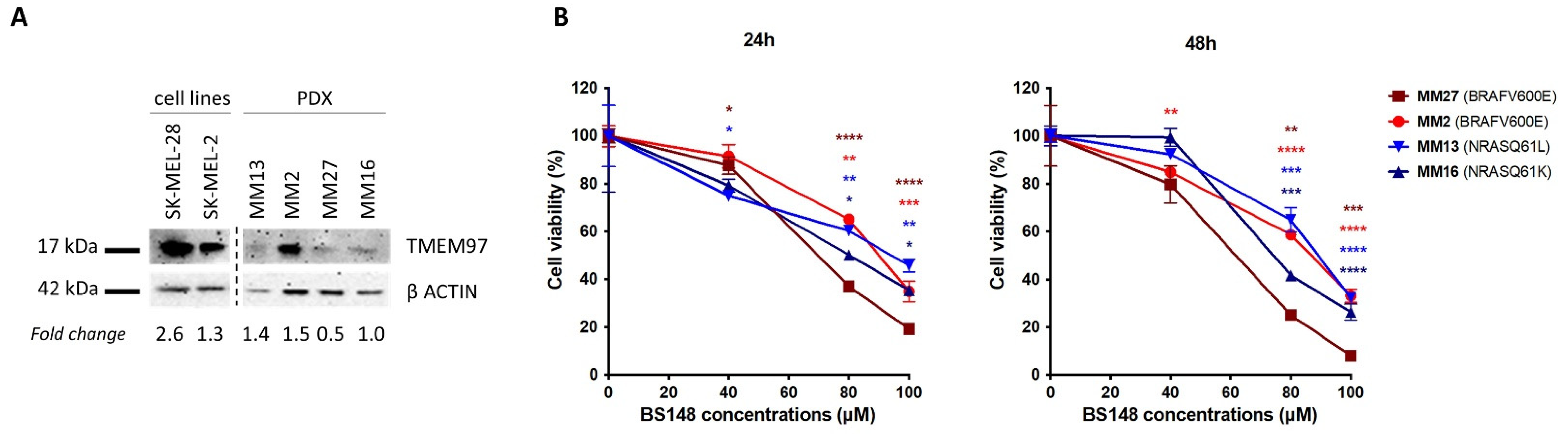 Ijms 24 09684 g006 Ijms 24 09684 g006