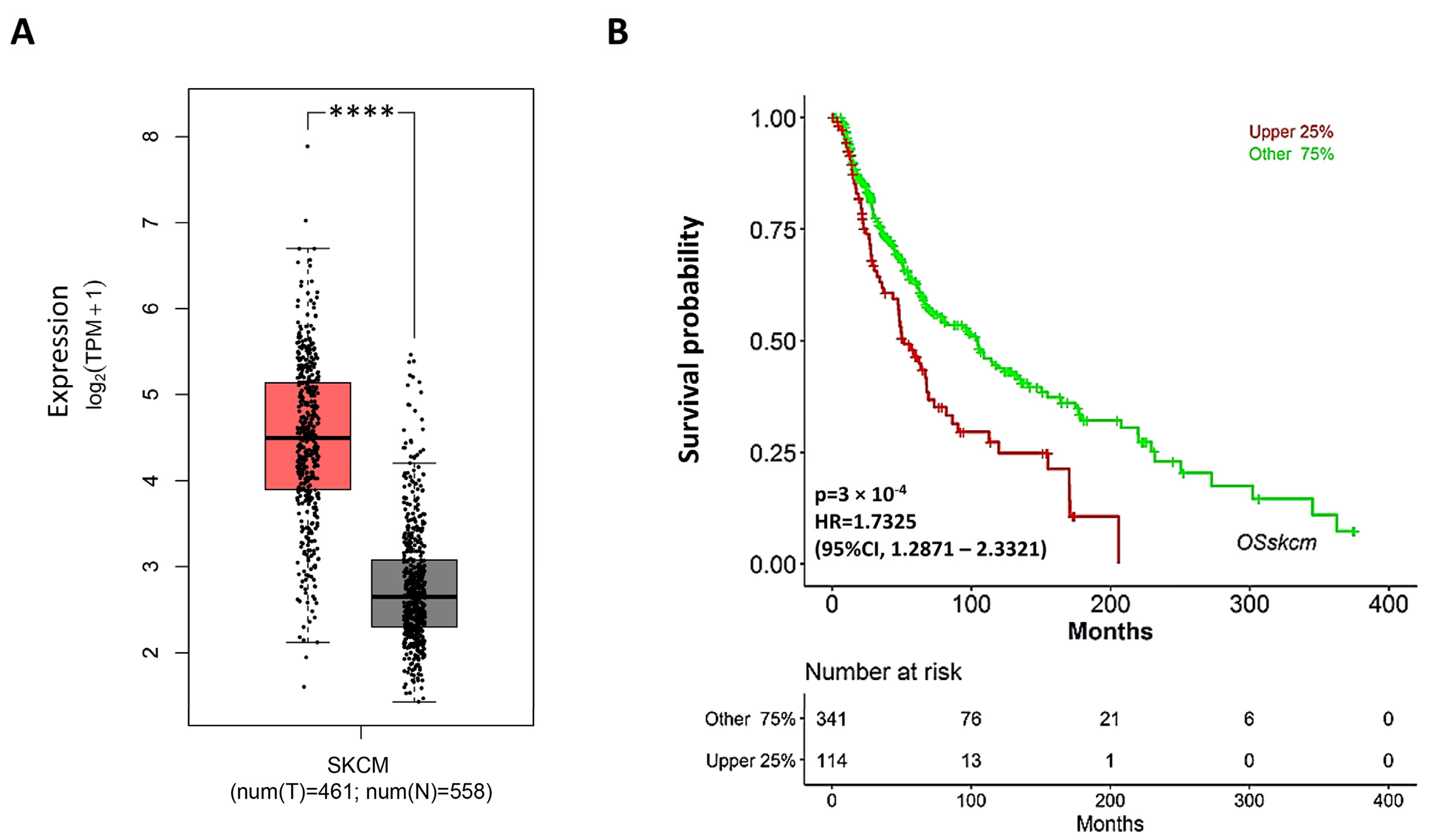 Ijms 24 09684 g008 Ijms 24 09684 g008