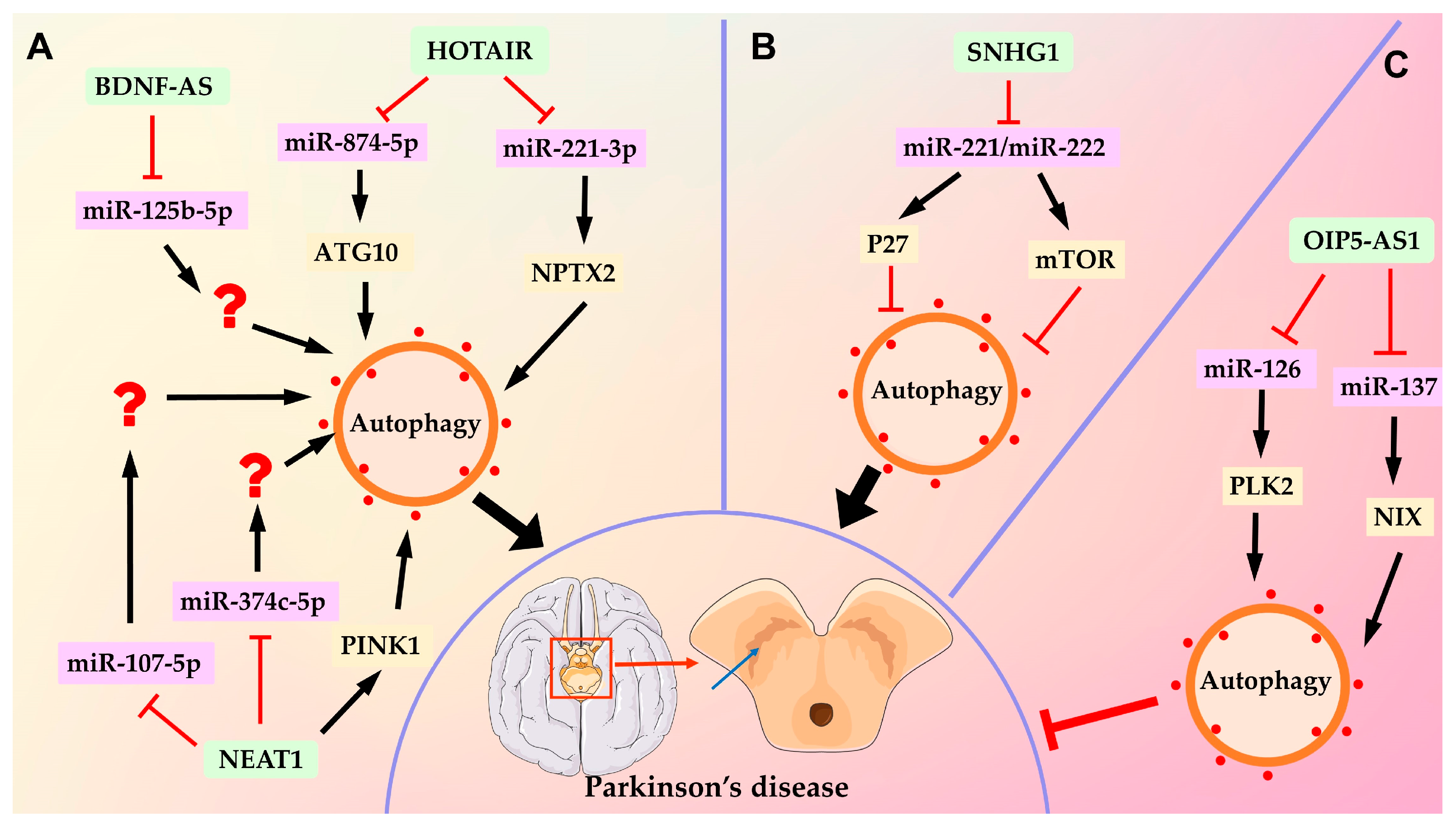 Ijms 24 09686 g003 Ijms 24 09686 g003
