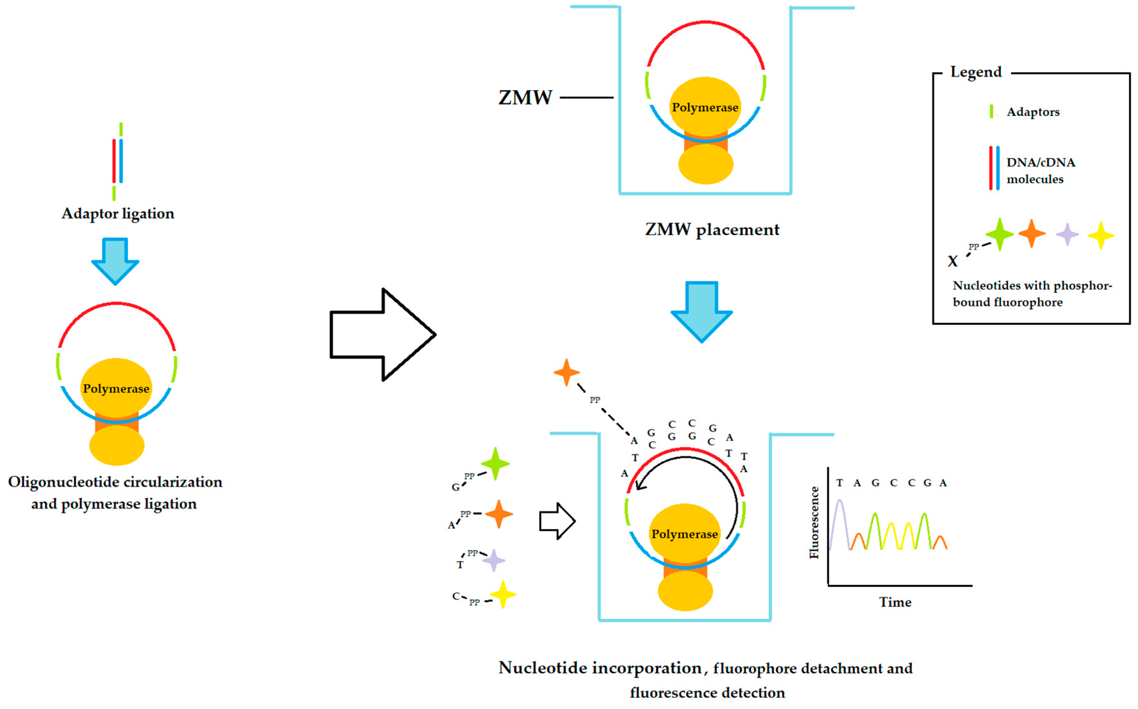 Ijms 24 09688 g002 Ijms 24 09688 g002