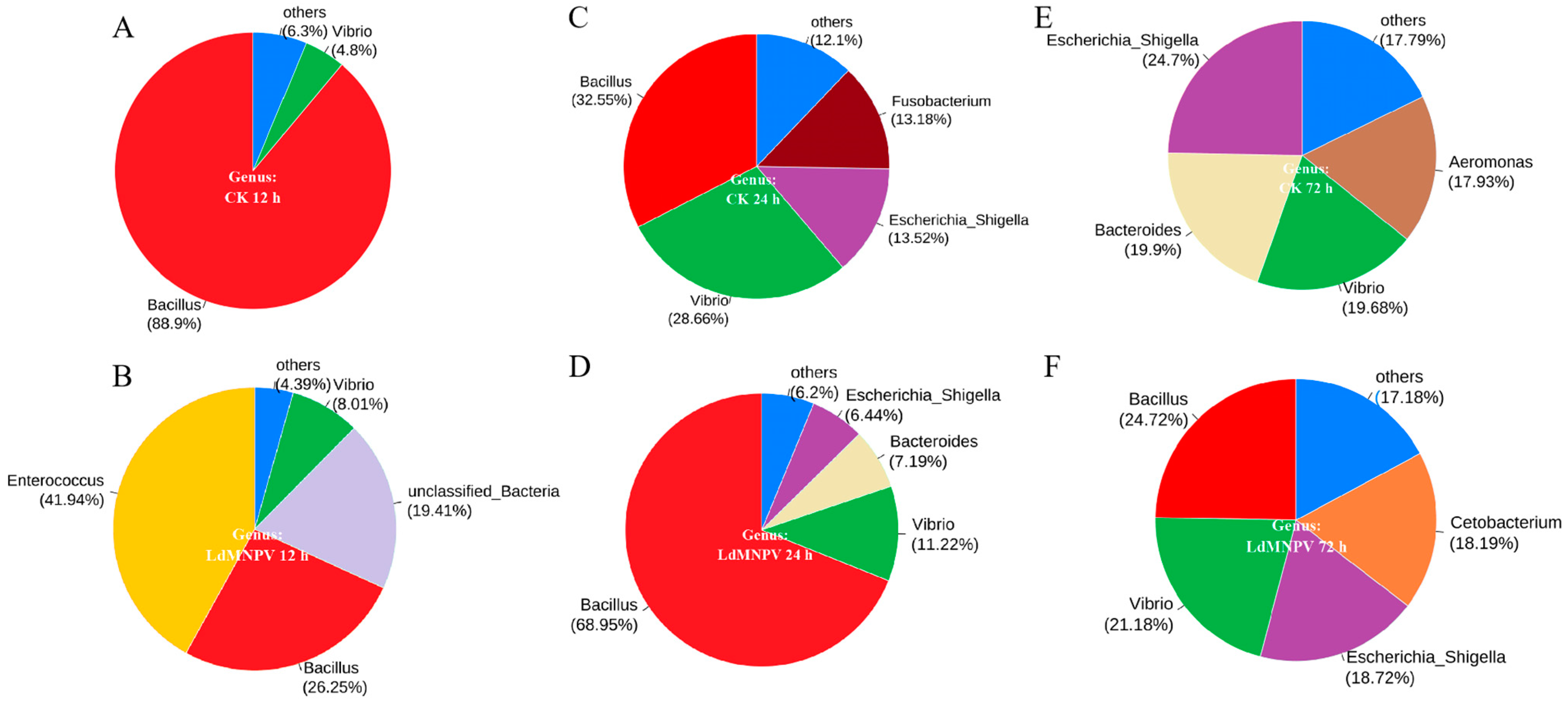 Ijms 24 09694 g005 Ijms 24 09694 g005