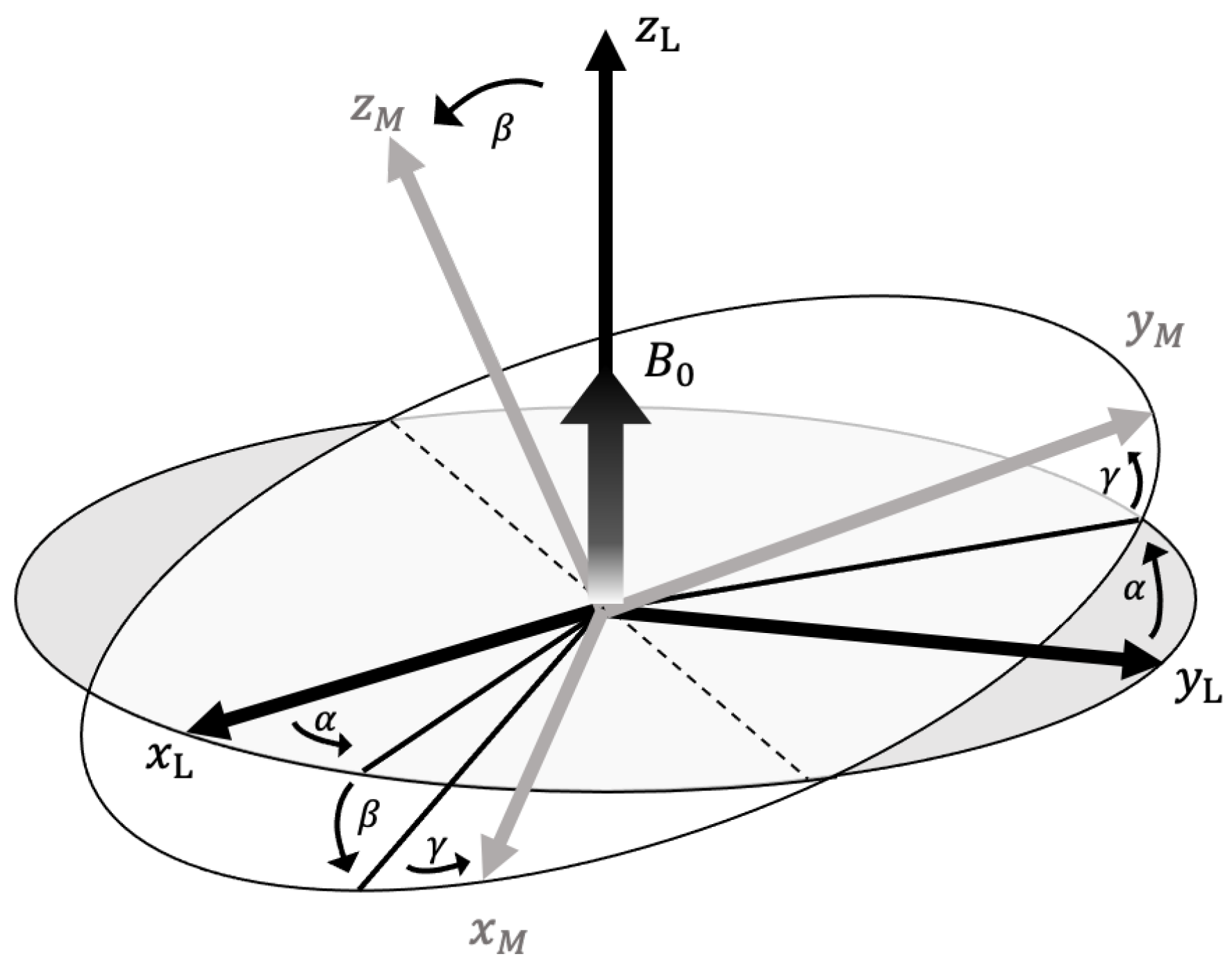 Ijms 24 09700 g002 Ijms 24 09700 g002