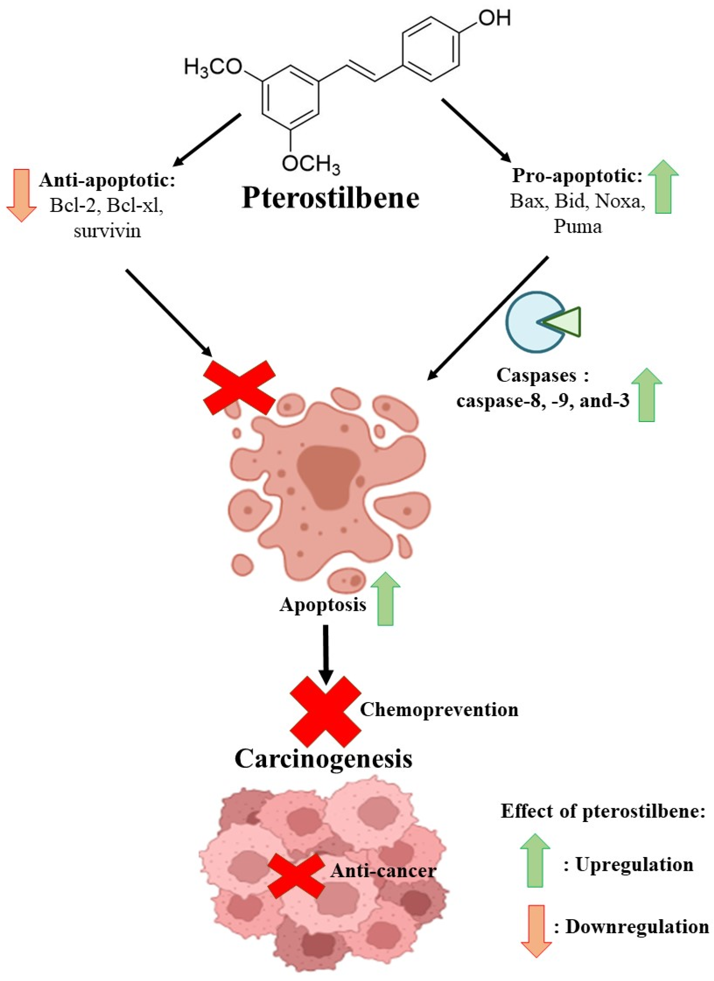 Ijms 24 09707 g003 Ijms 24 09707 g003
