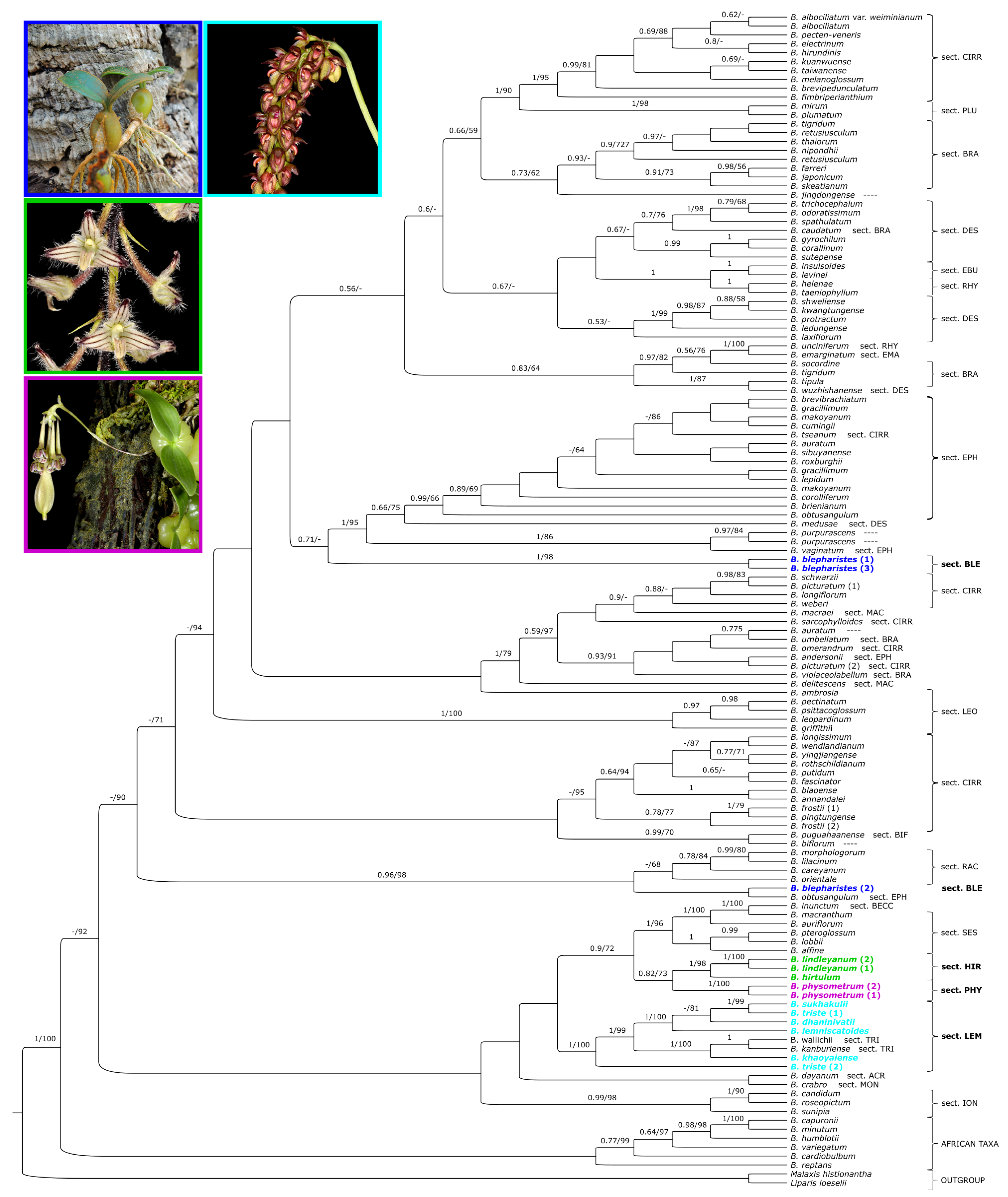 Ijms 24 09709 g002 Ijms 24 09709 g002