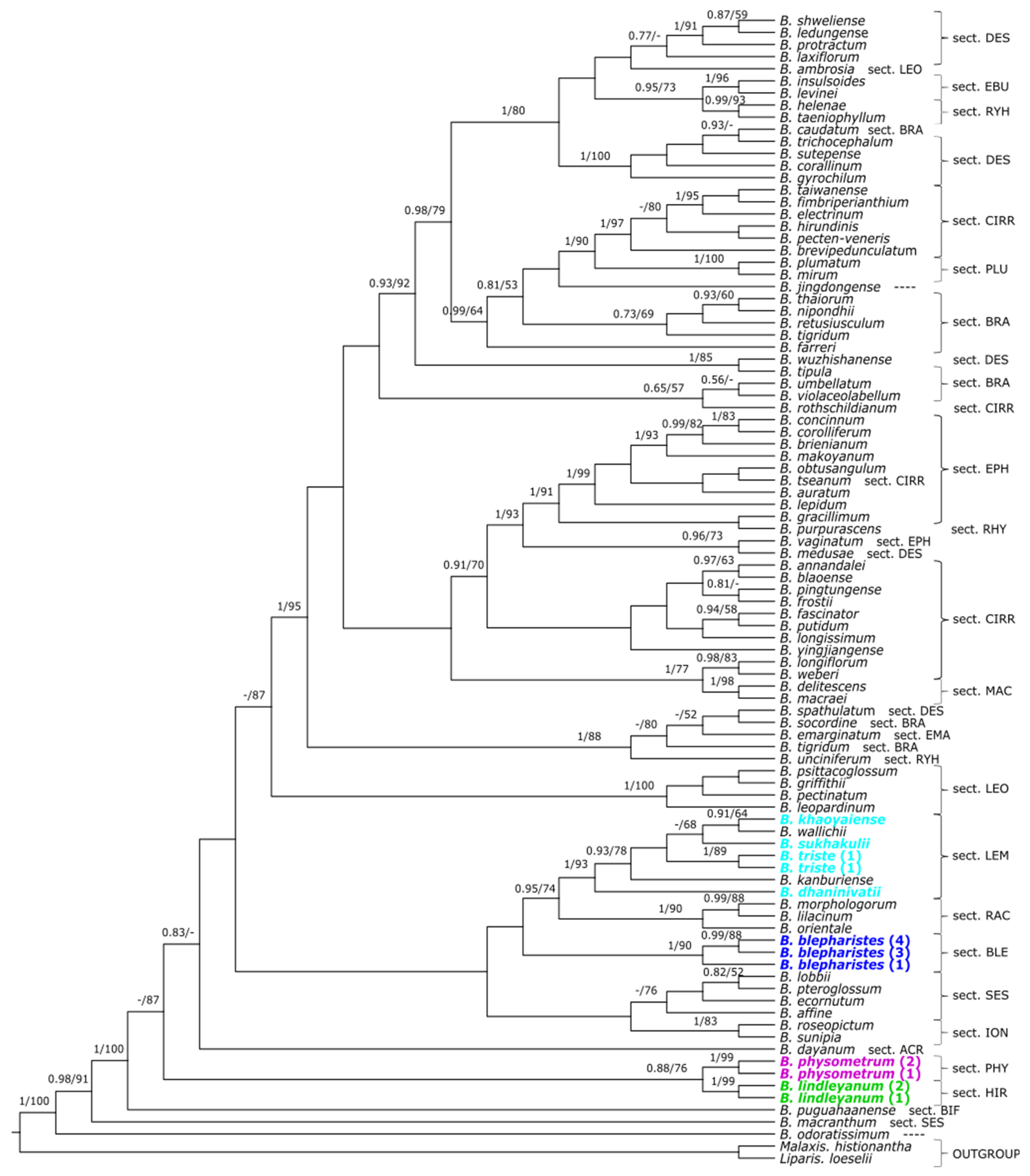 Ijms 24 09709 g003 Ijms 24 09709 g003