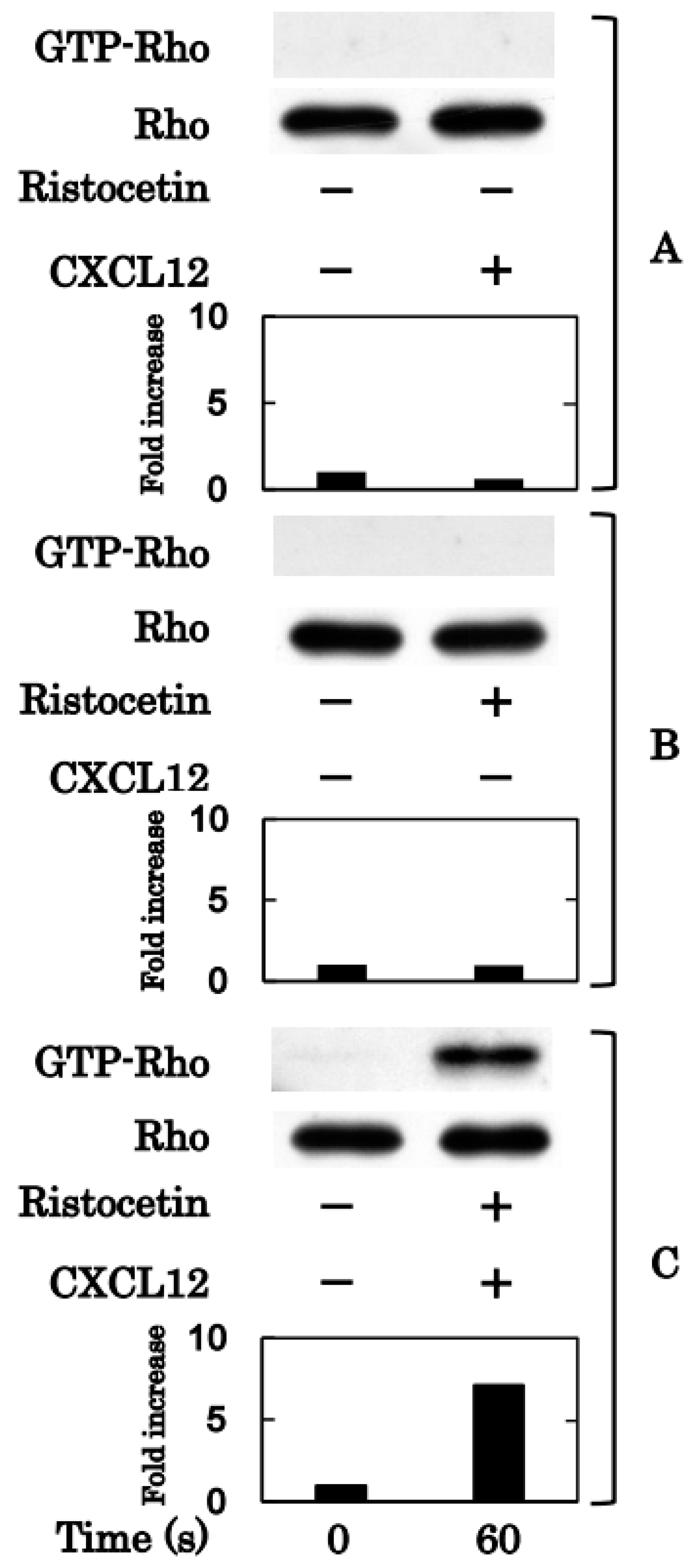 Ijms 24 09716 g004 Ijms 24 09716 g004