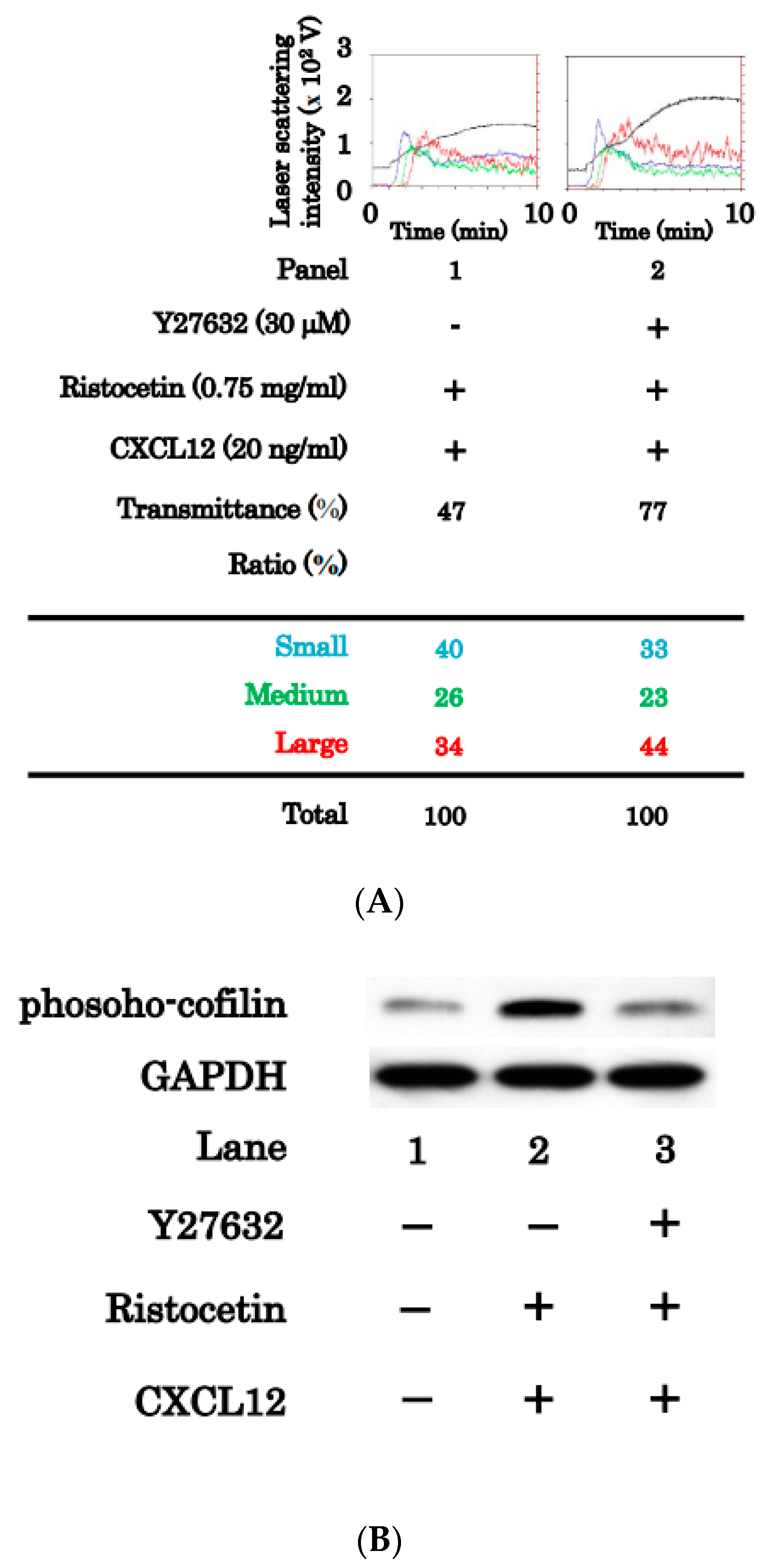 Ijms 24 09716 g006 Ijms 24 09716 g006