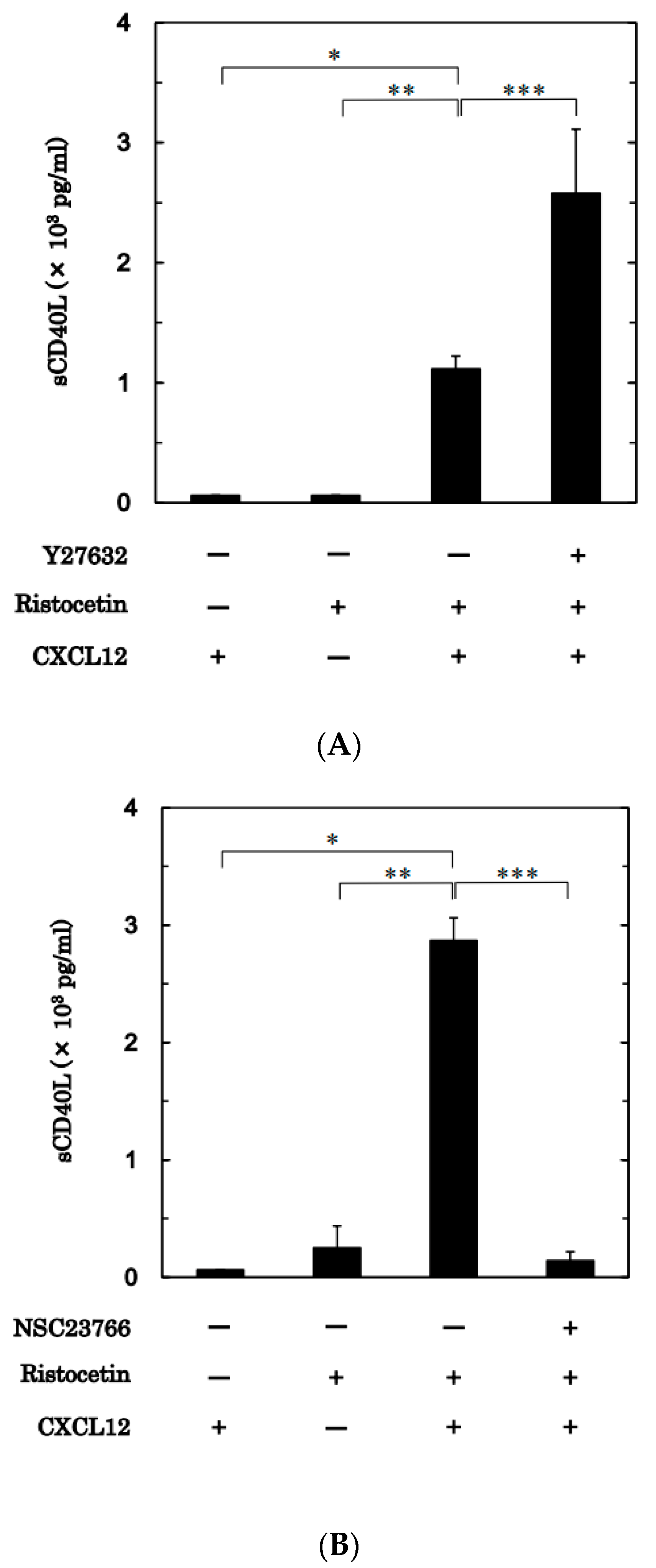 Ijms 24 09716 g008 Ijms 24 09716 g008