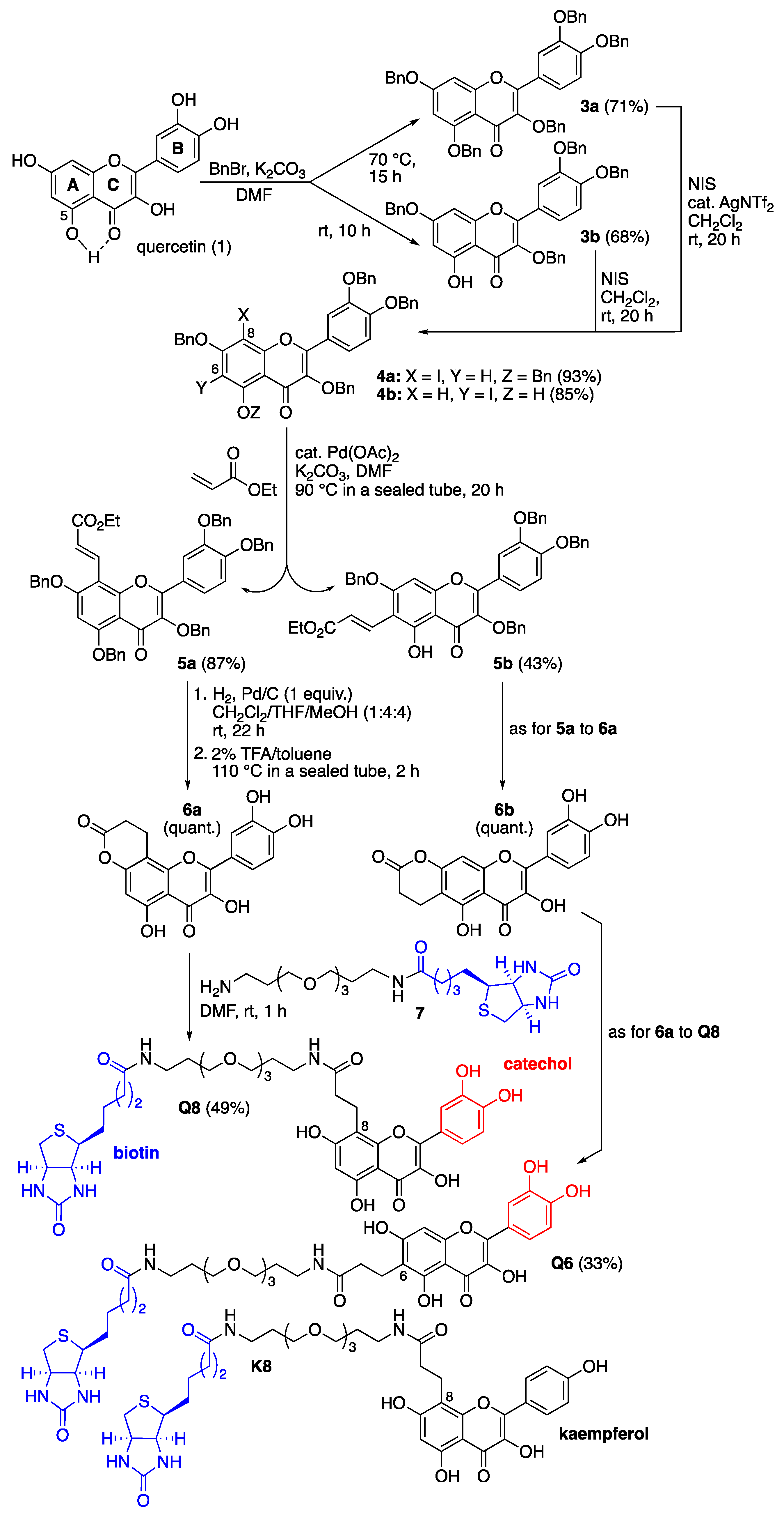 Ijms 24 09724 g002 Ijms 24 09724 g002