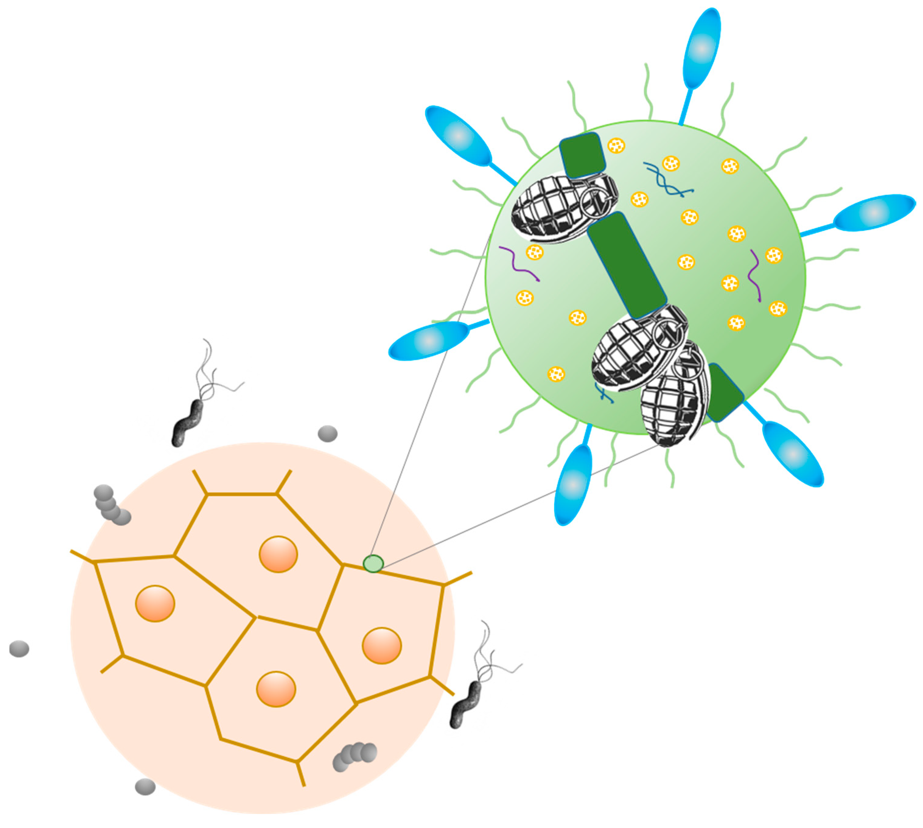 Ijms 24 09726 g003 Ijms 24 09726 g003