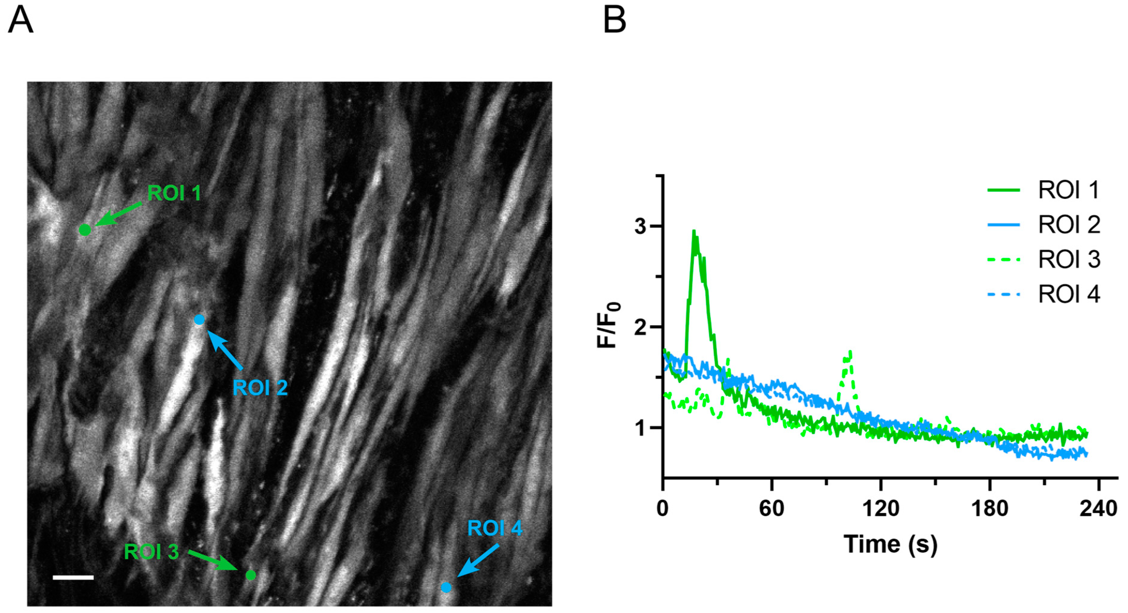 Ijms 24 09729 g001 Ijms 24 09729 g001