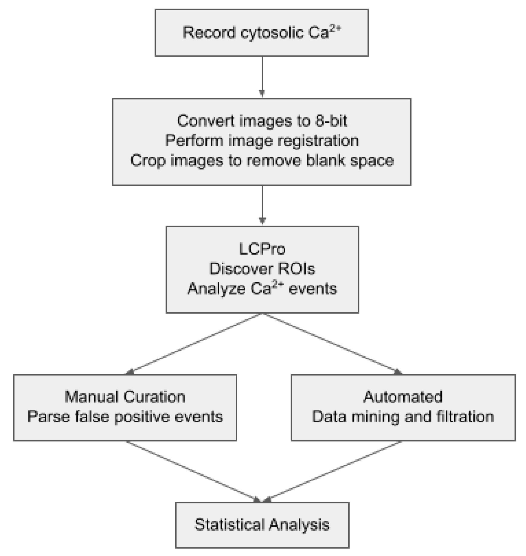 Ijms 24 09729 g007 Ijms 24 09729 g007