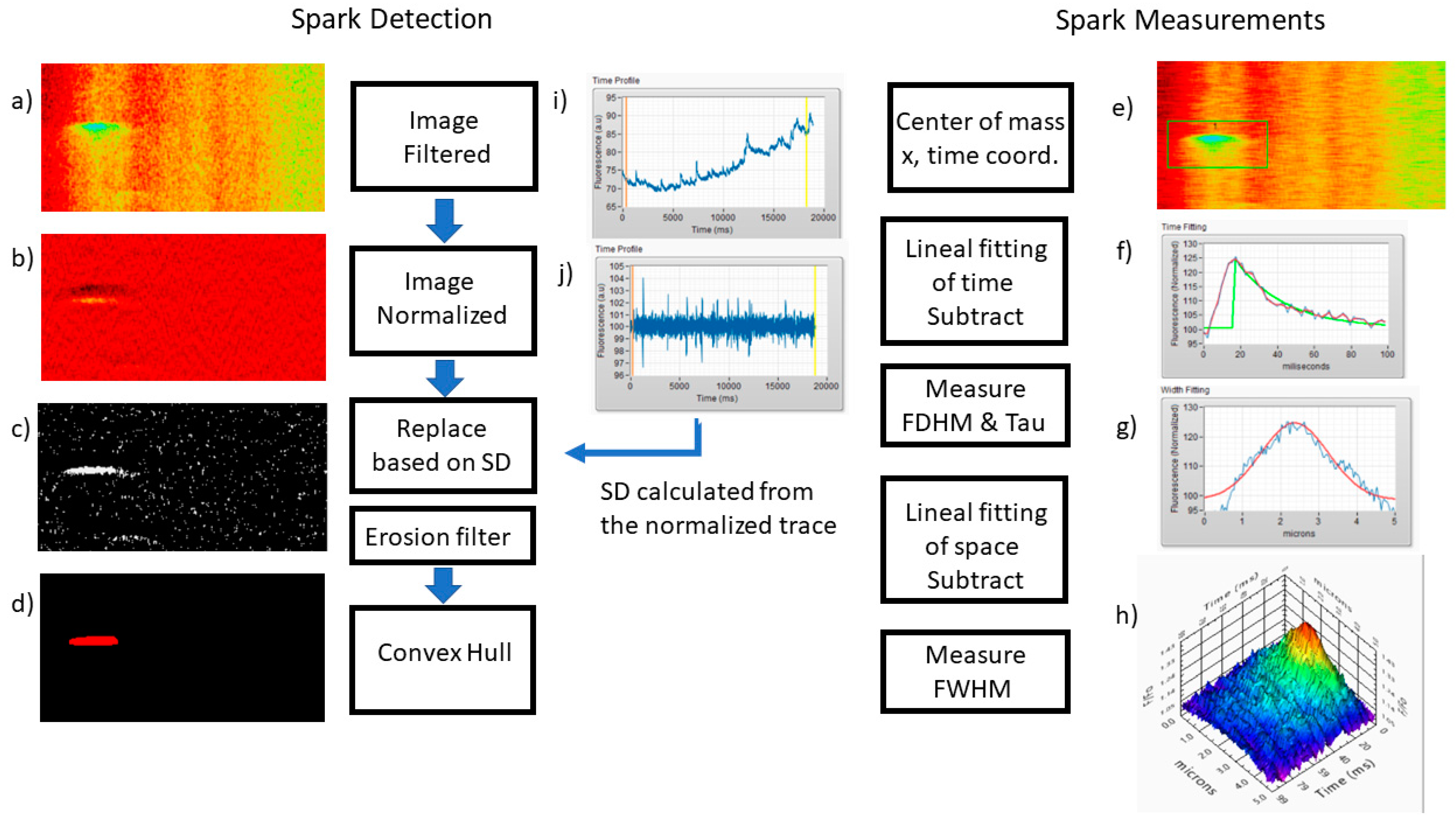 Ijms 24 09729 g008 Ijms 24 09729 g008