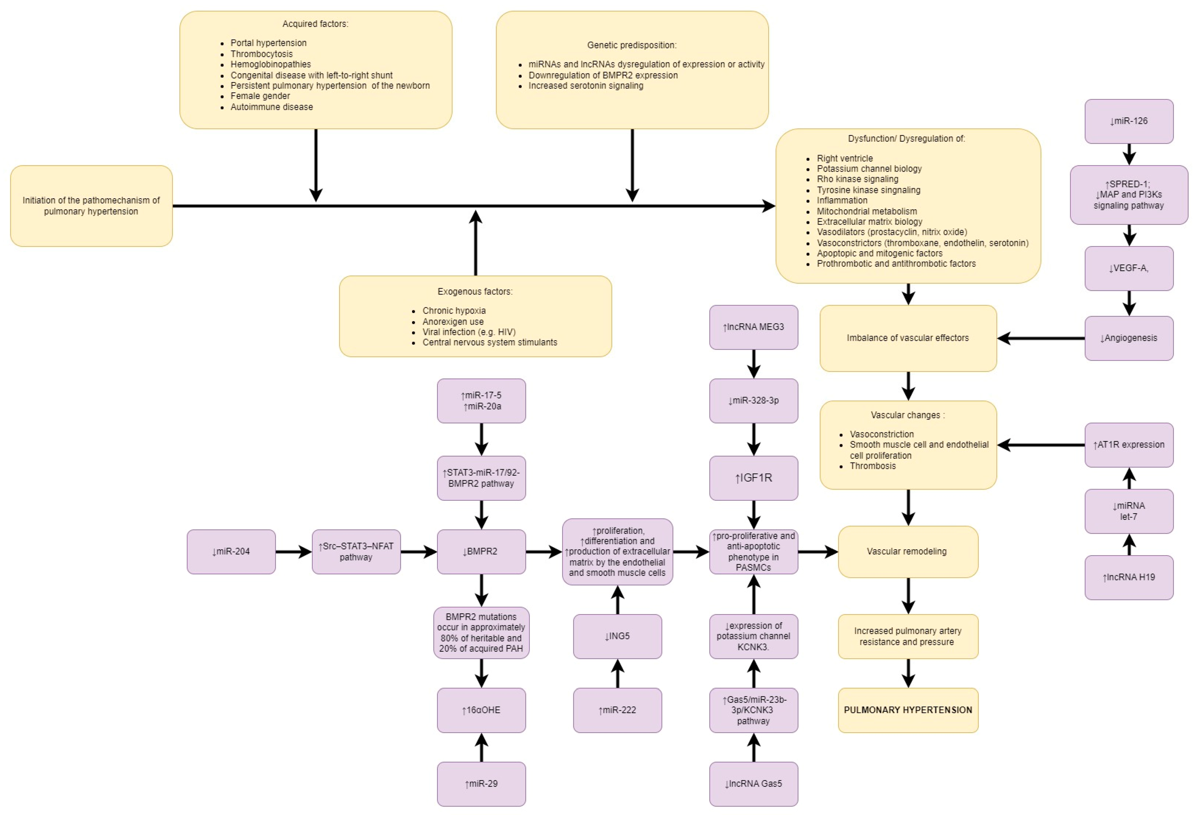 Ijms 24 09735 g002 Ijms 24 09735 g002