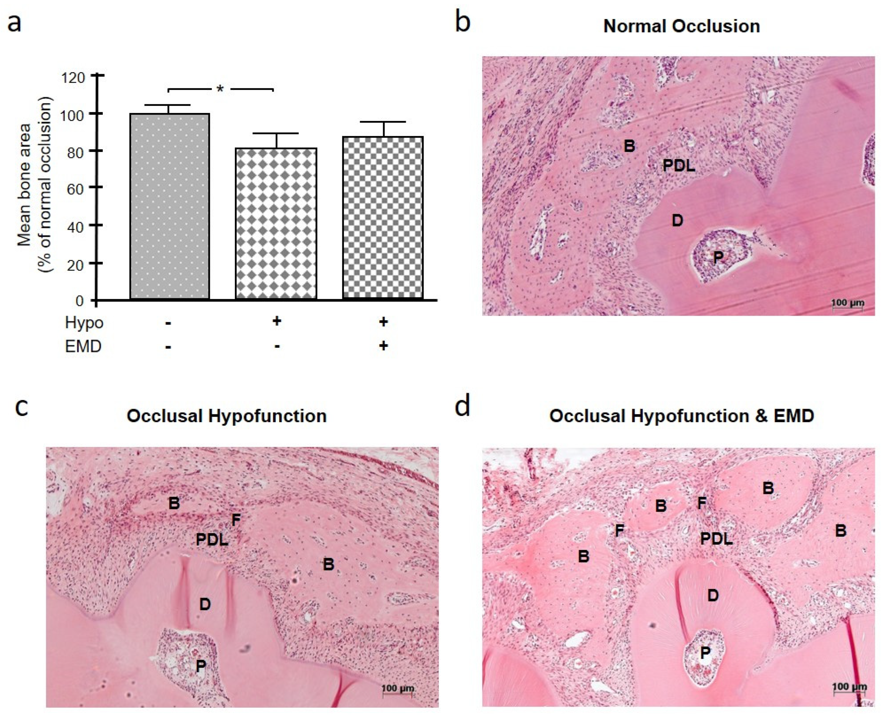Ijms 24 09744 g001 Ijms 24 09744 g001