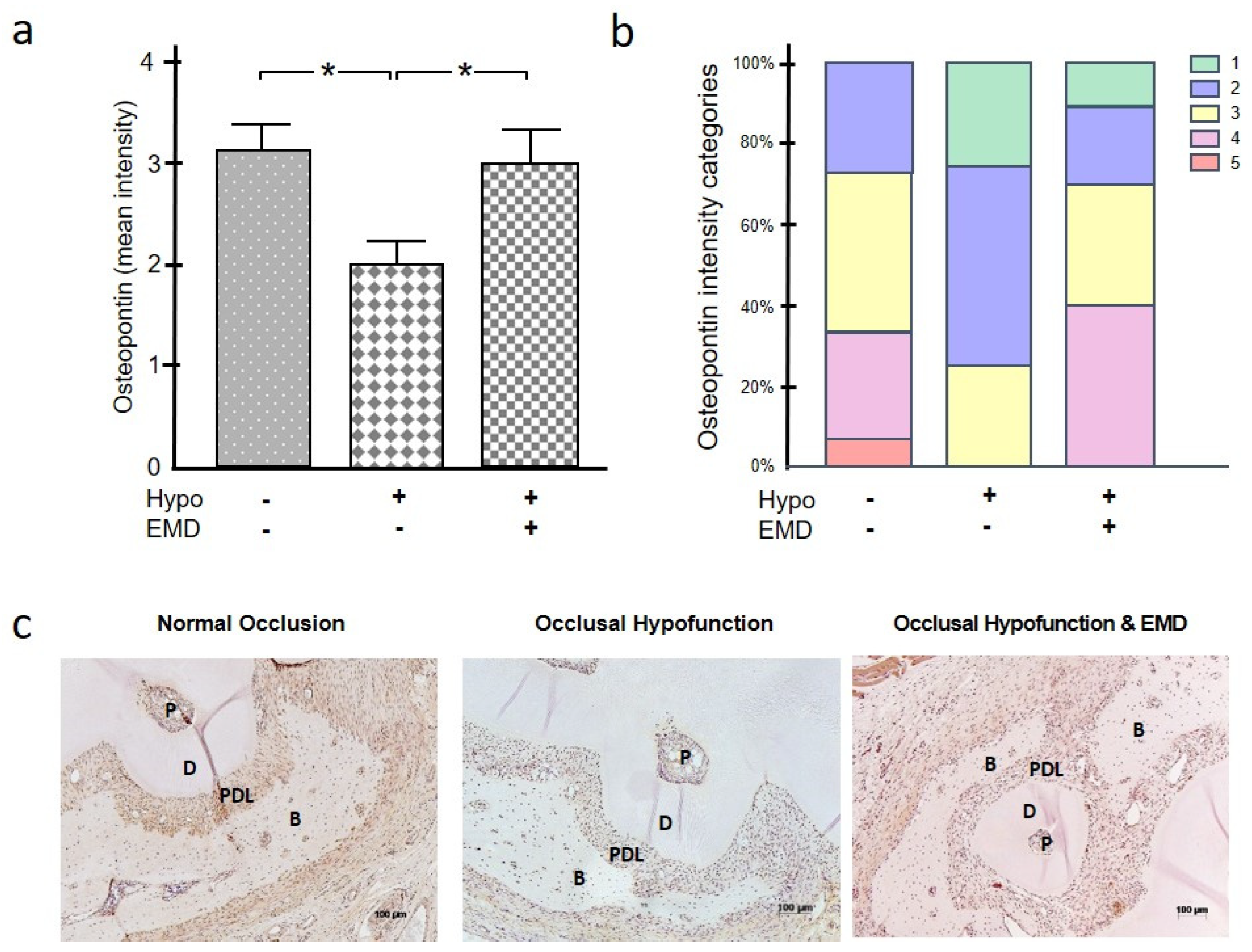 Ijms 24 09744 g004 Ijms 24 09744 g004