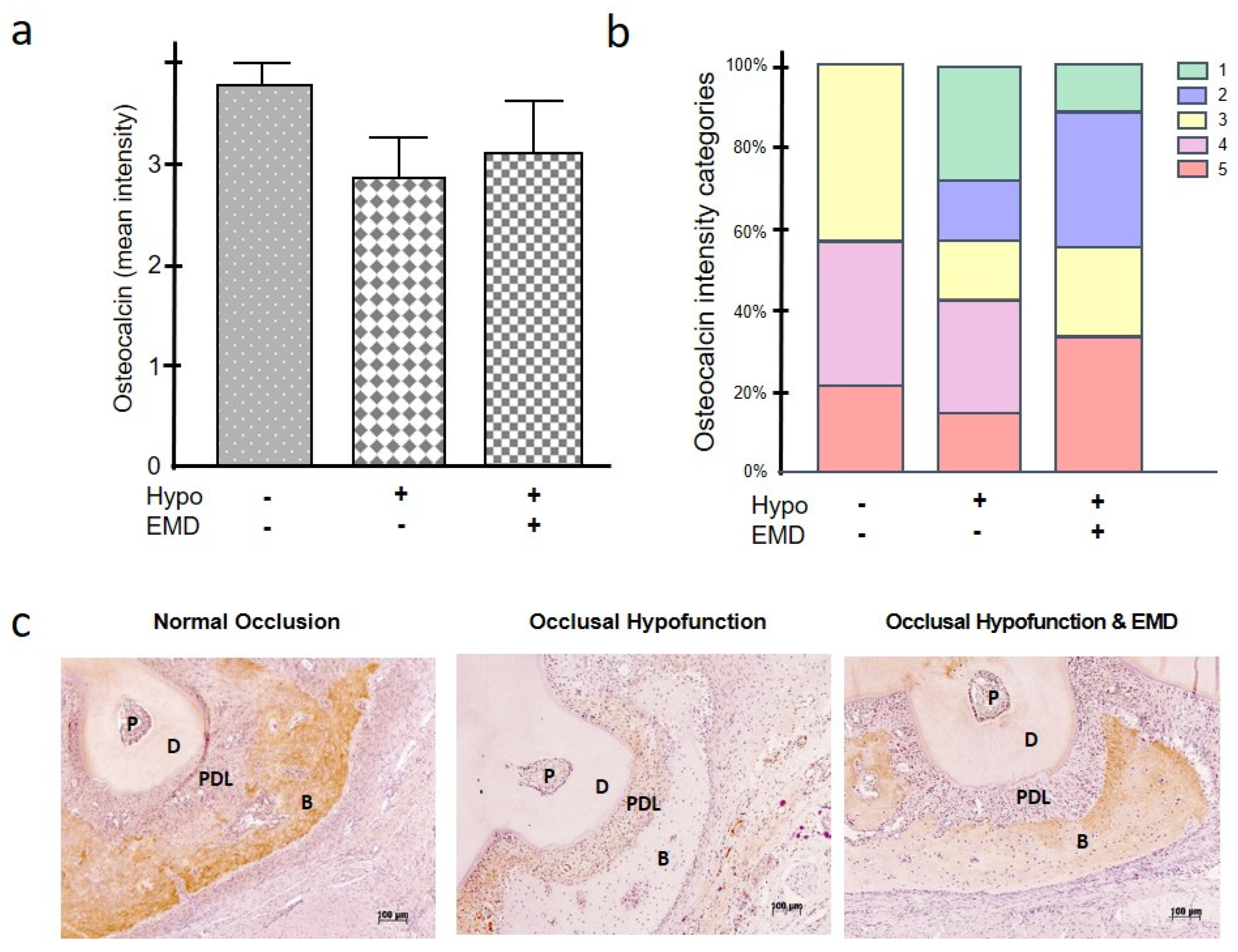 Ijms 24 09744 g005 Ijms 24 09744 g005