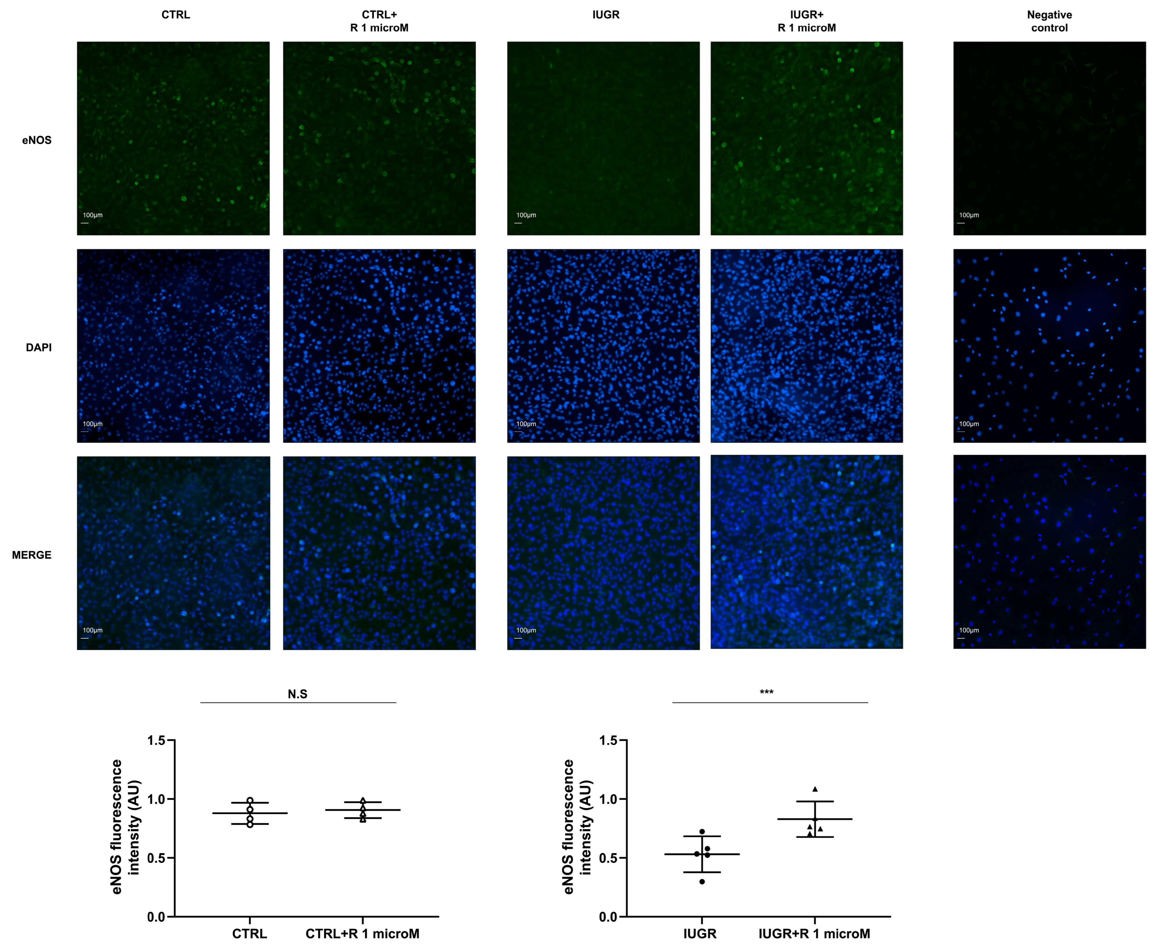 Ijms 24 09747 g005 Ijms 24 09747 g005