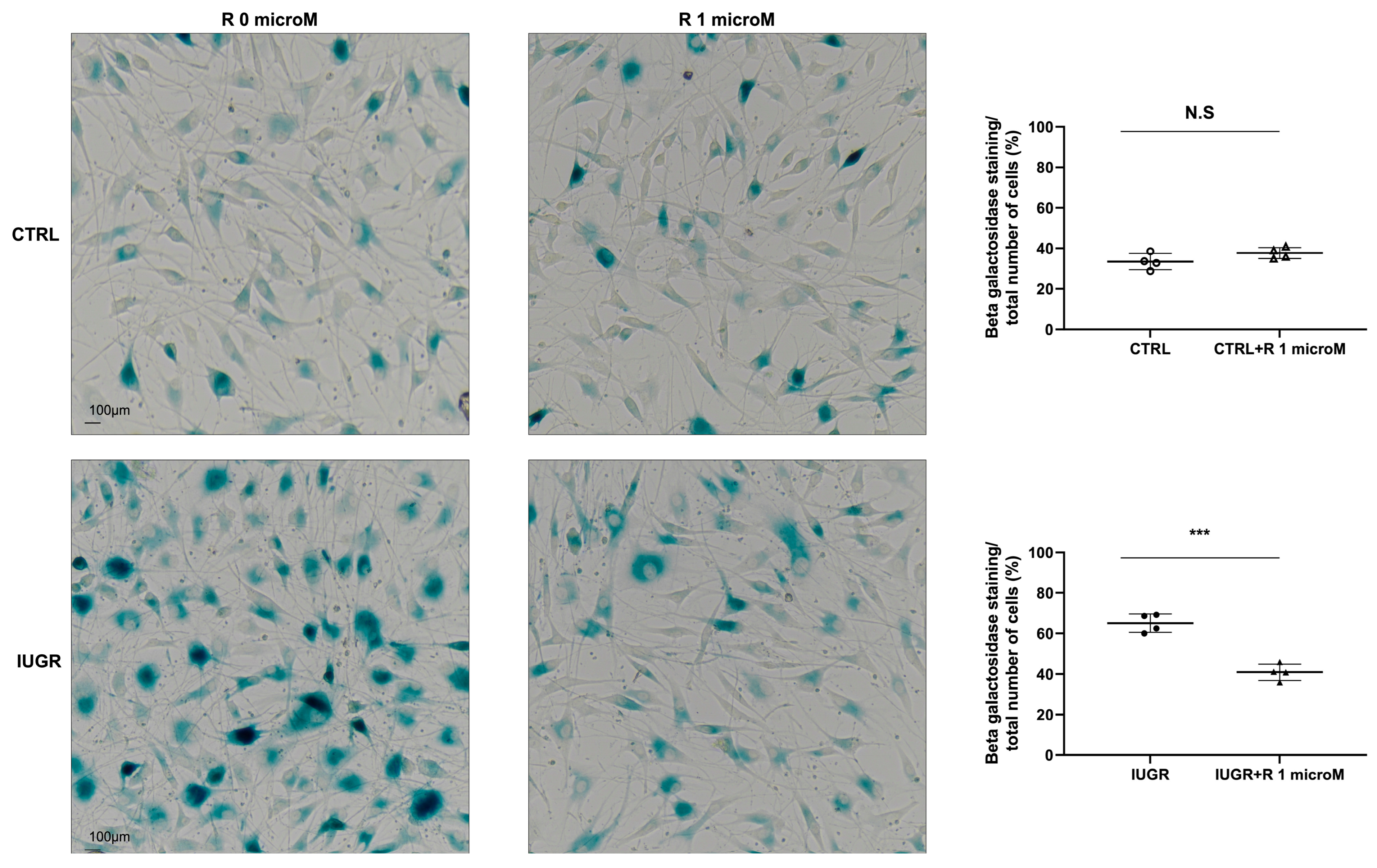 Ijms 24 09747 g007 Ijms 24 09747 g007