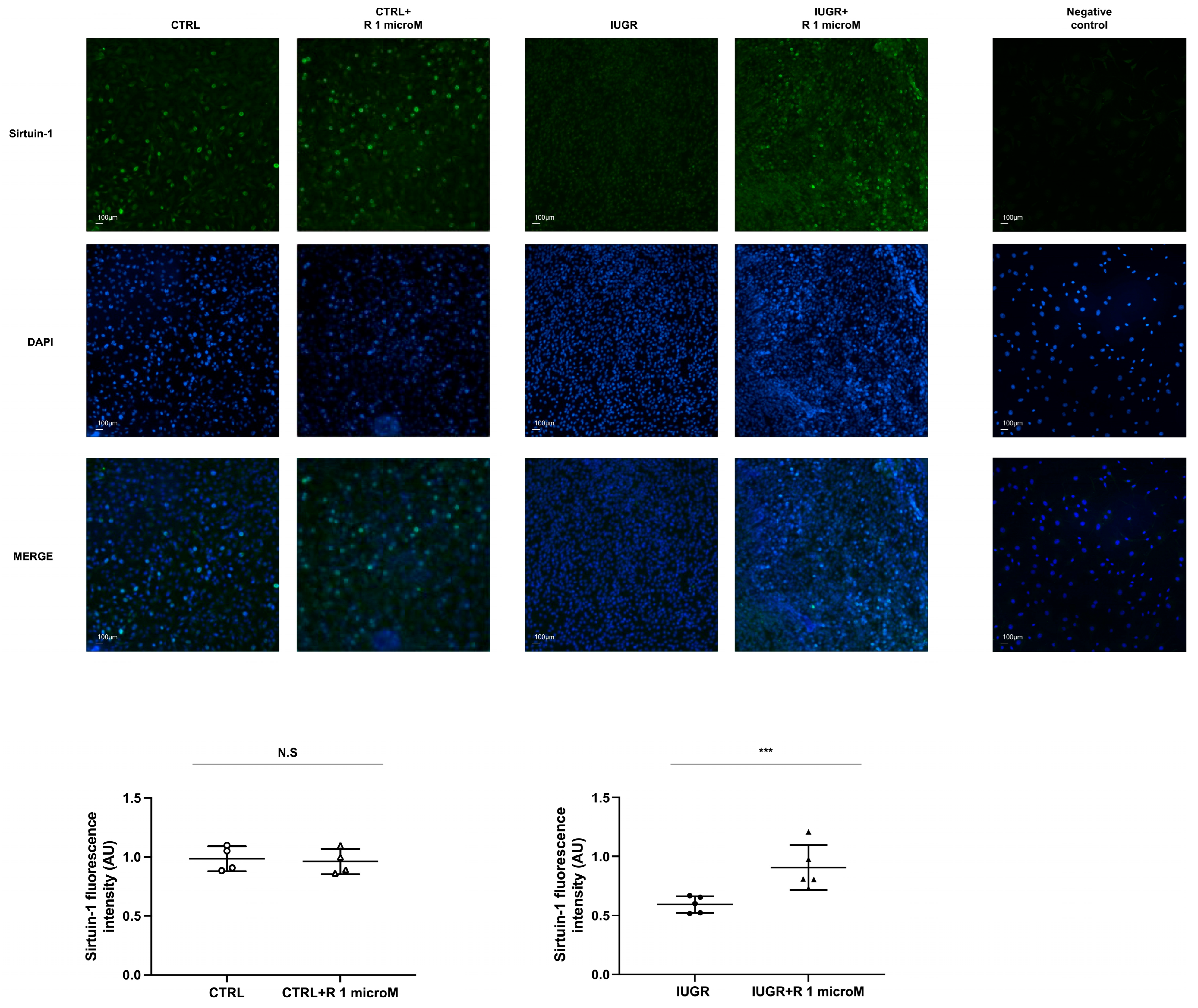 Ijms 24 09747 g008 Ijms 24 09747 g008