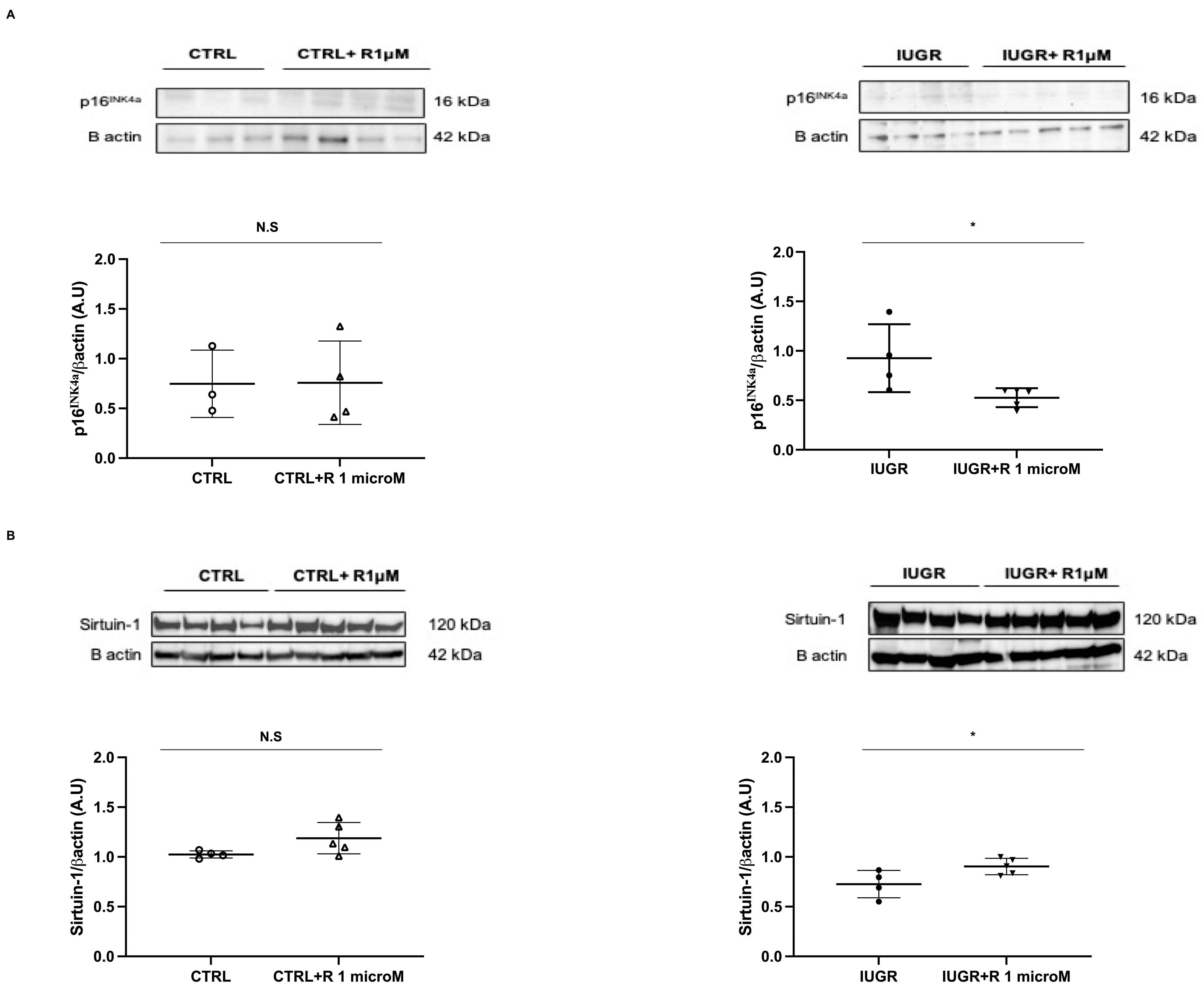 Ijms 24 09747 g009 Ijms 24 09747 g009